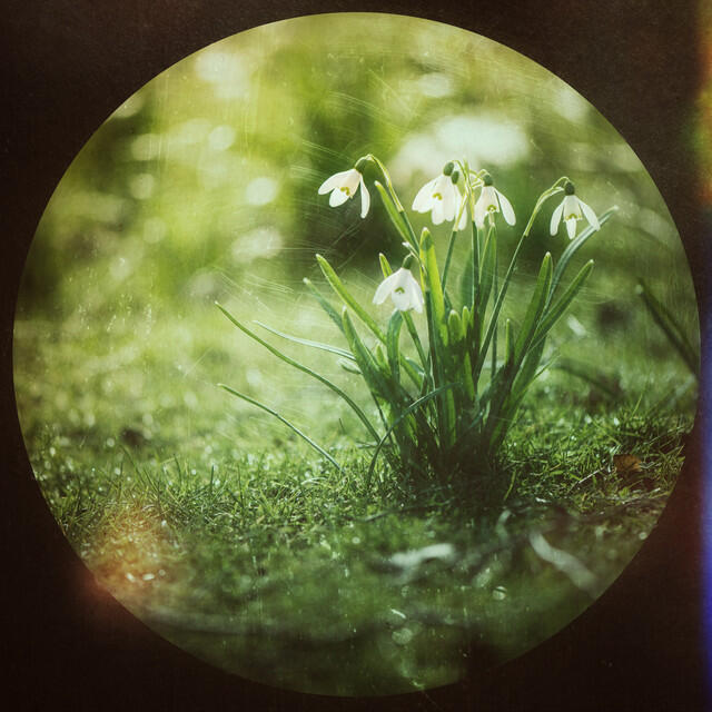 Релиз Spring is Here
