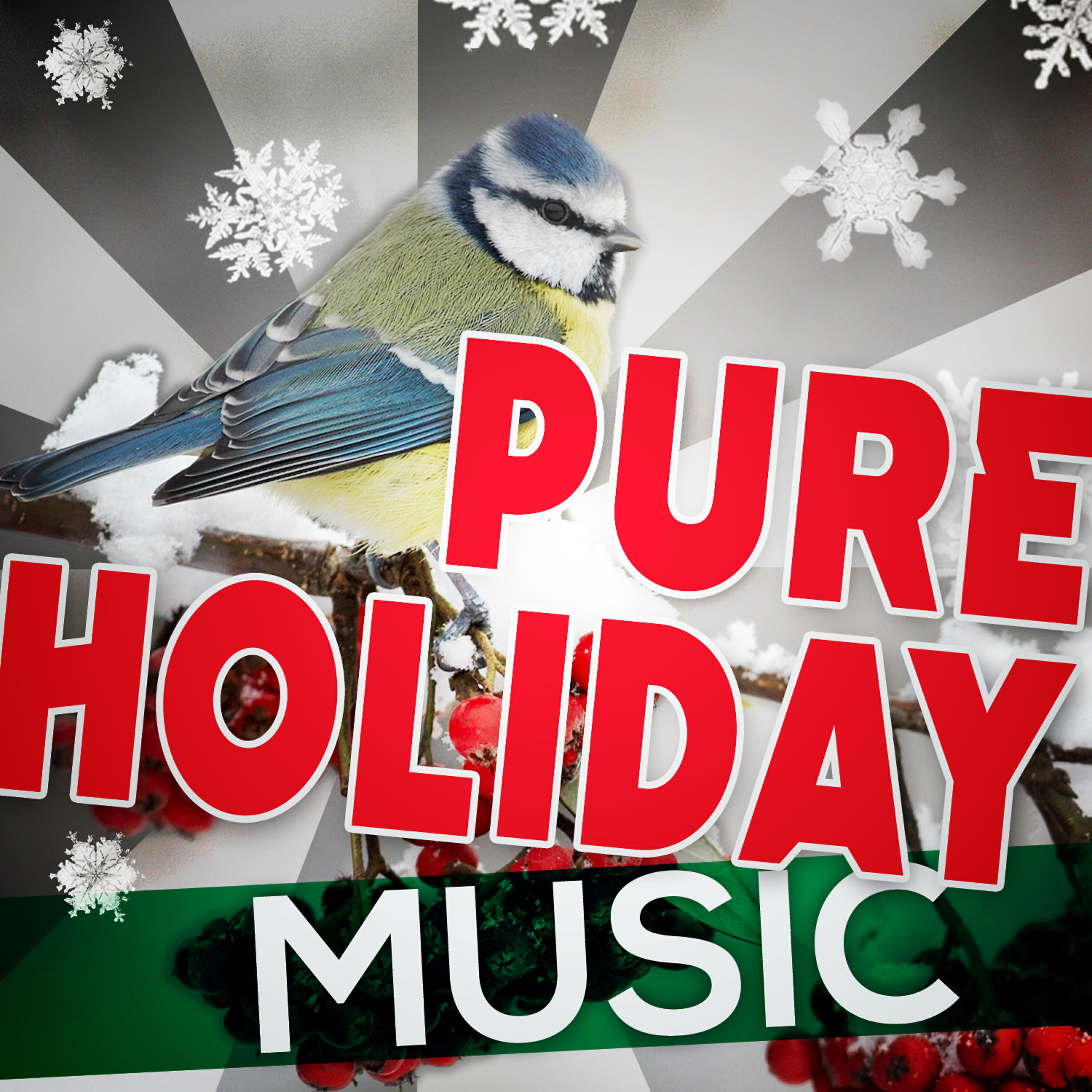 Релиз Pure Holiday Music