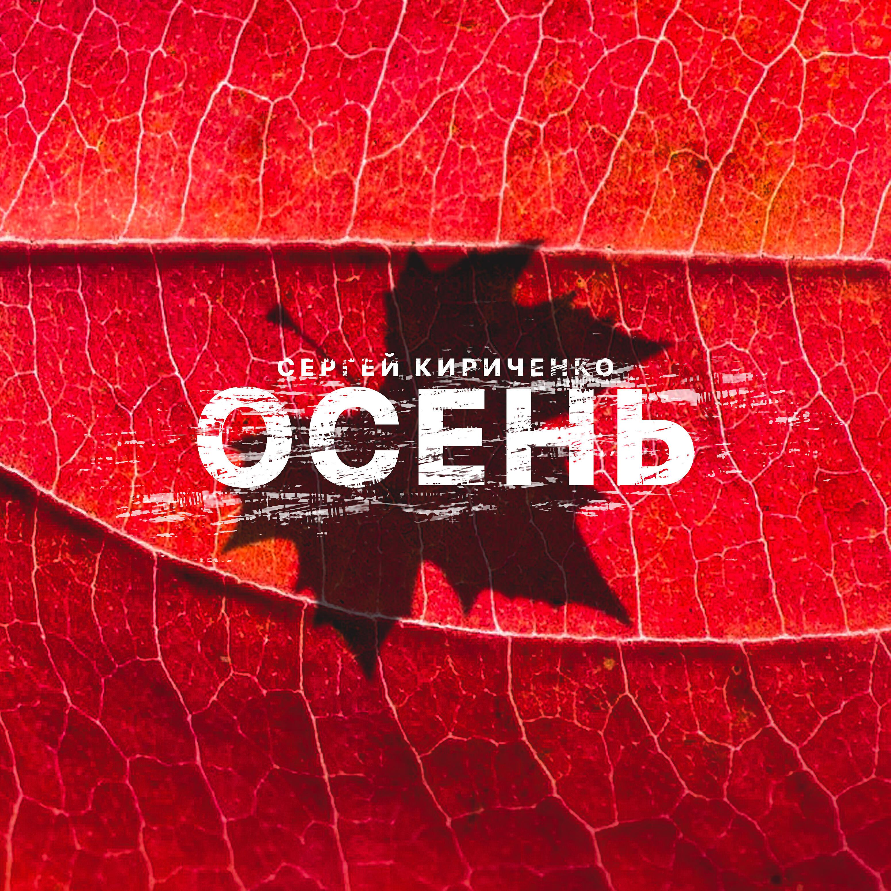 Релиз Осень