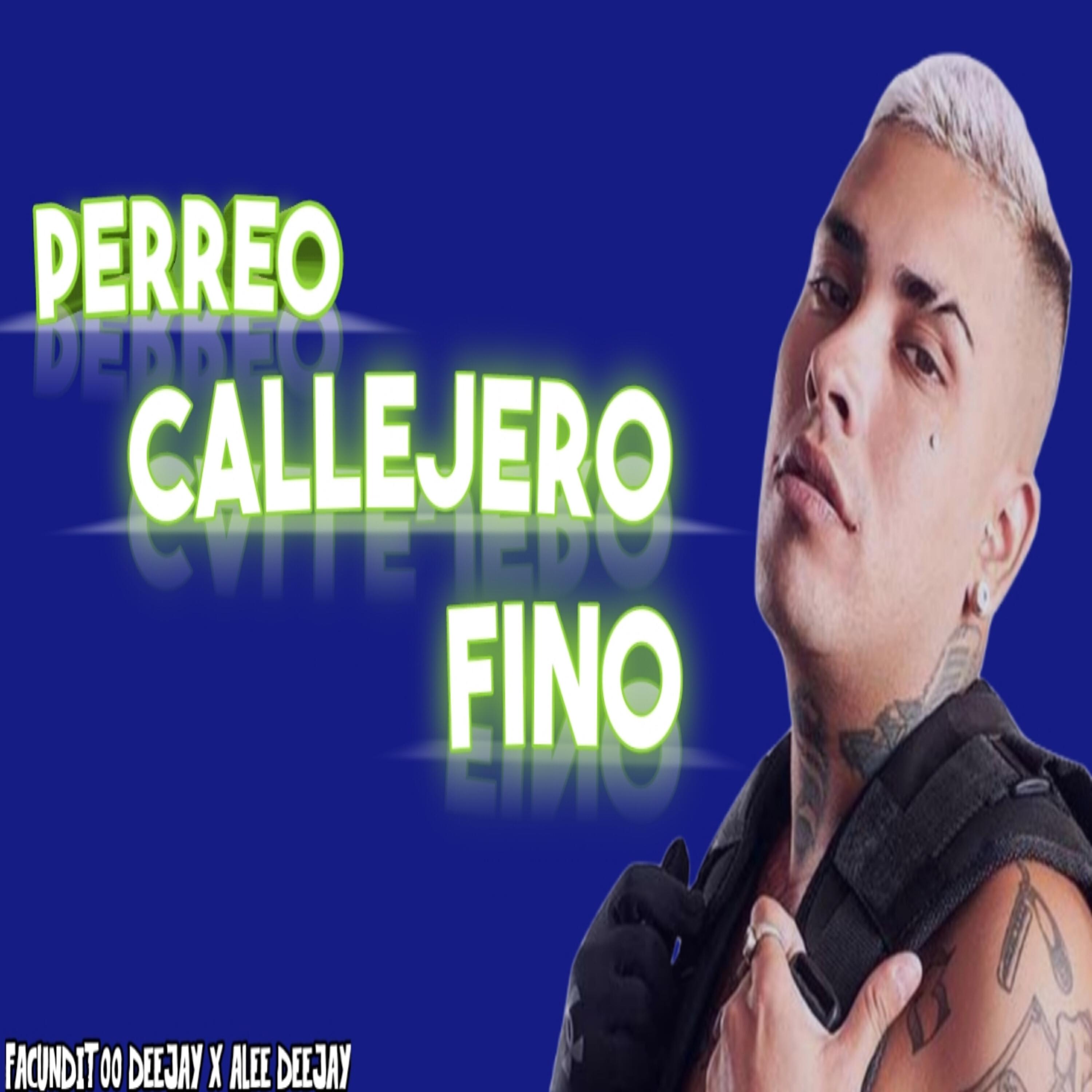 alee deejay