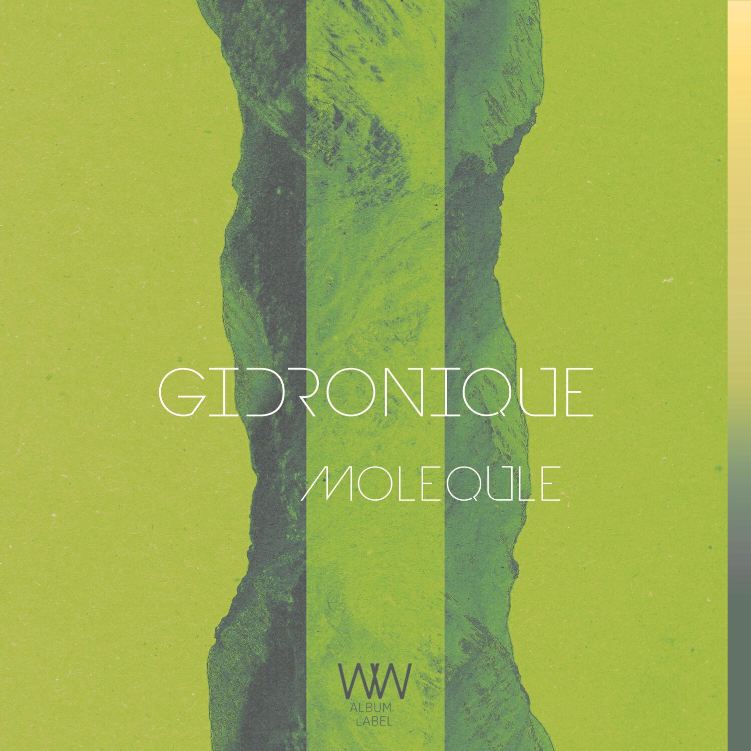 Релиз Molequle