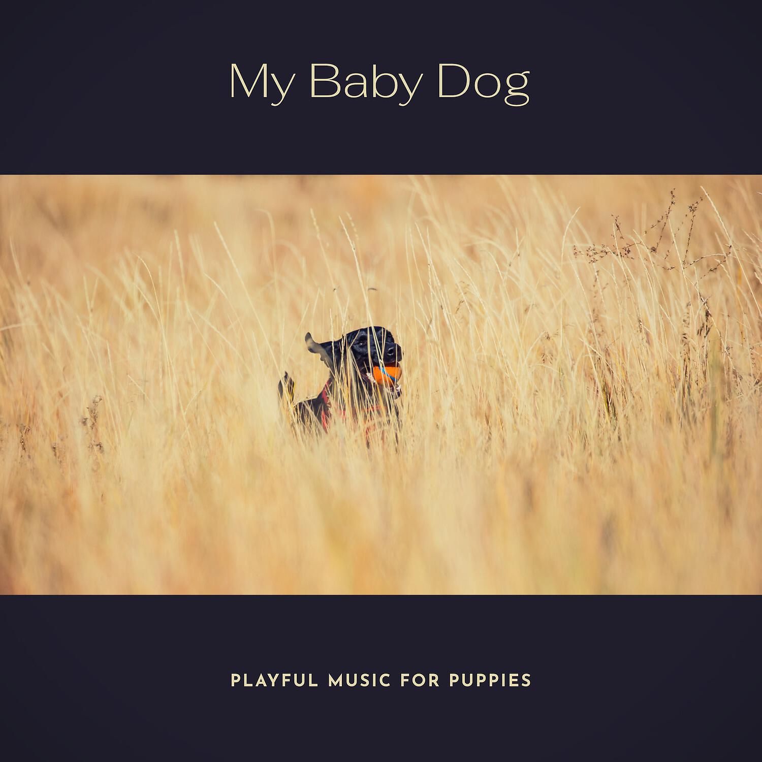 Релиз My Baby Dog (Playful Music for Puppies)