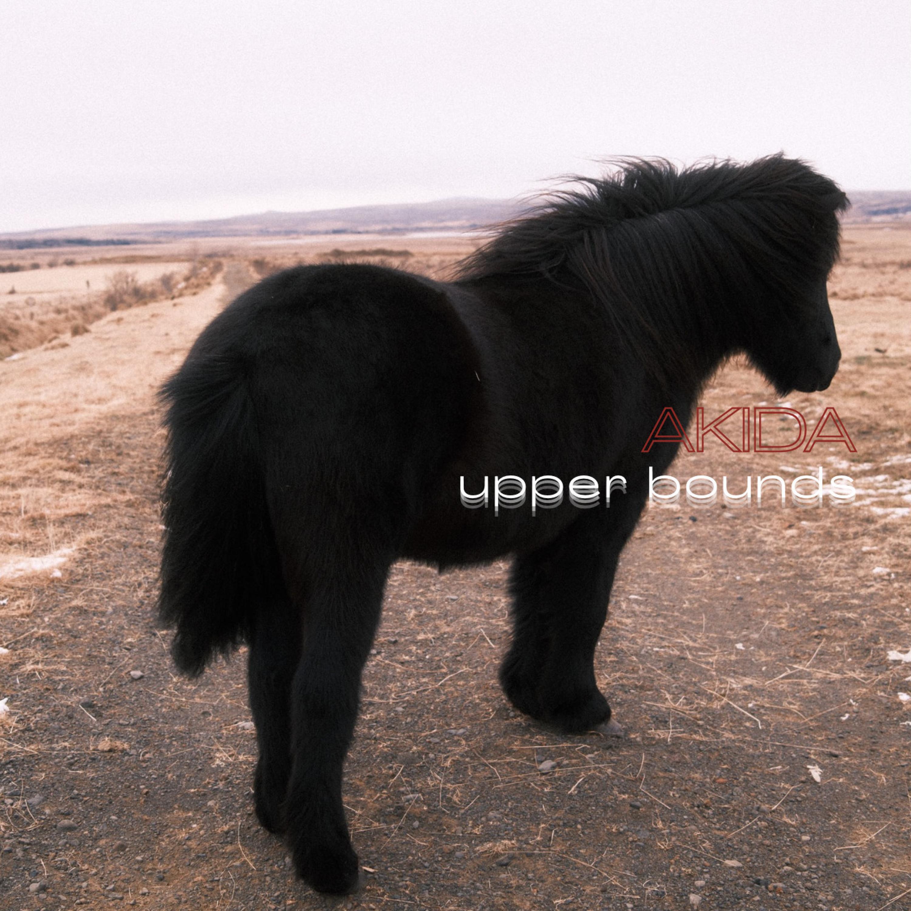 Релиз Upper Bounds