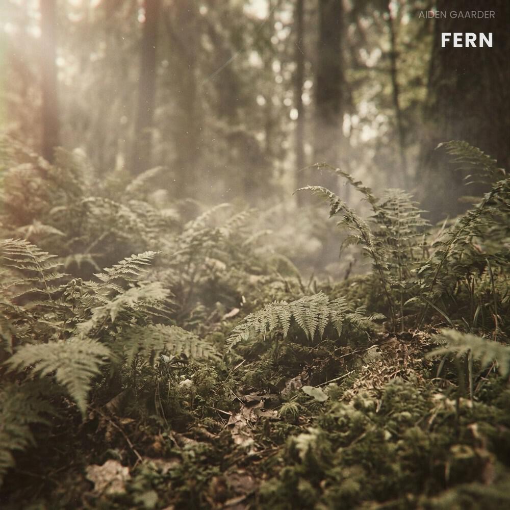 Релиз Fern