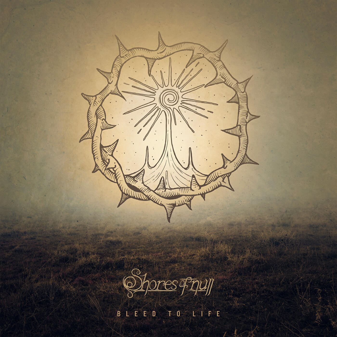 Релиз Bleed to Life