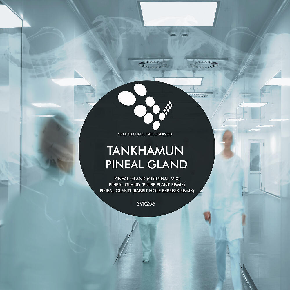 Релиз Pineal Gland