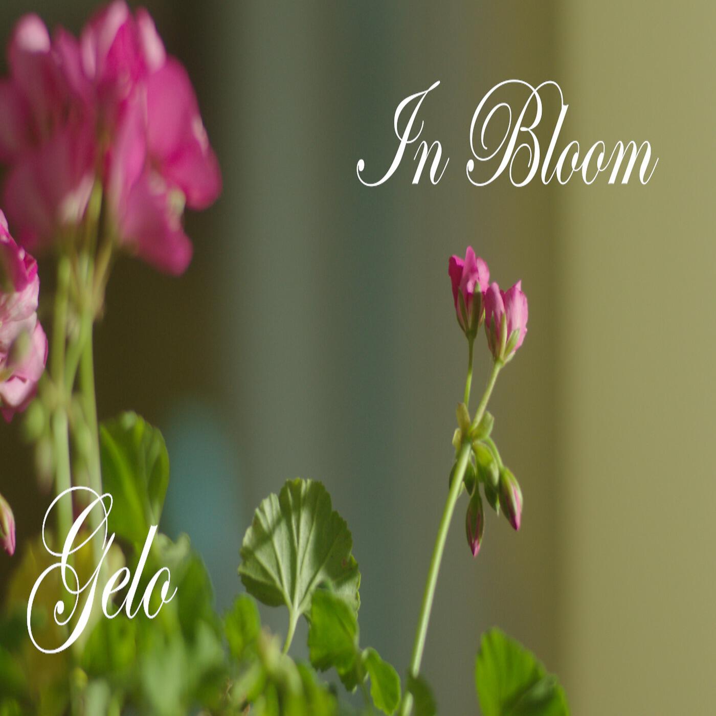 Релиз In Bloom