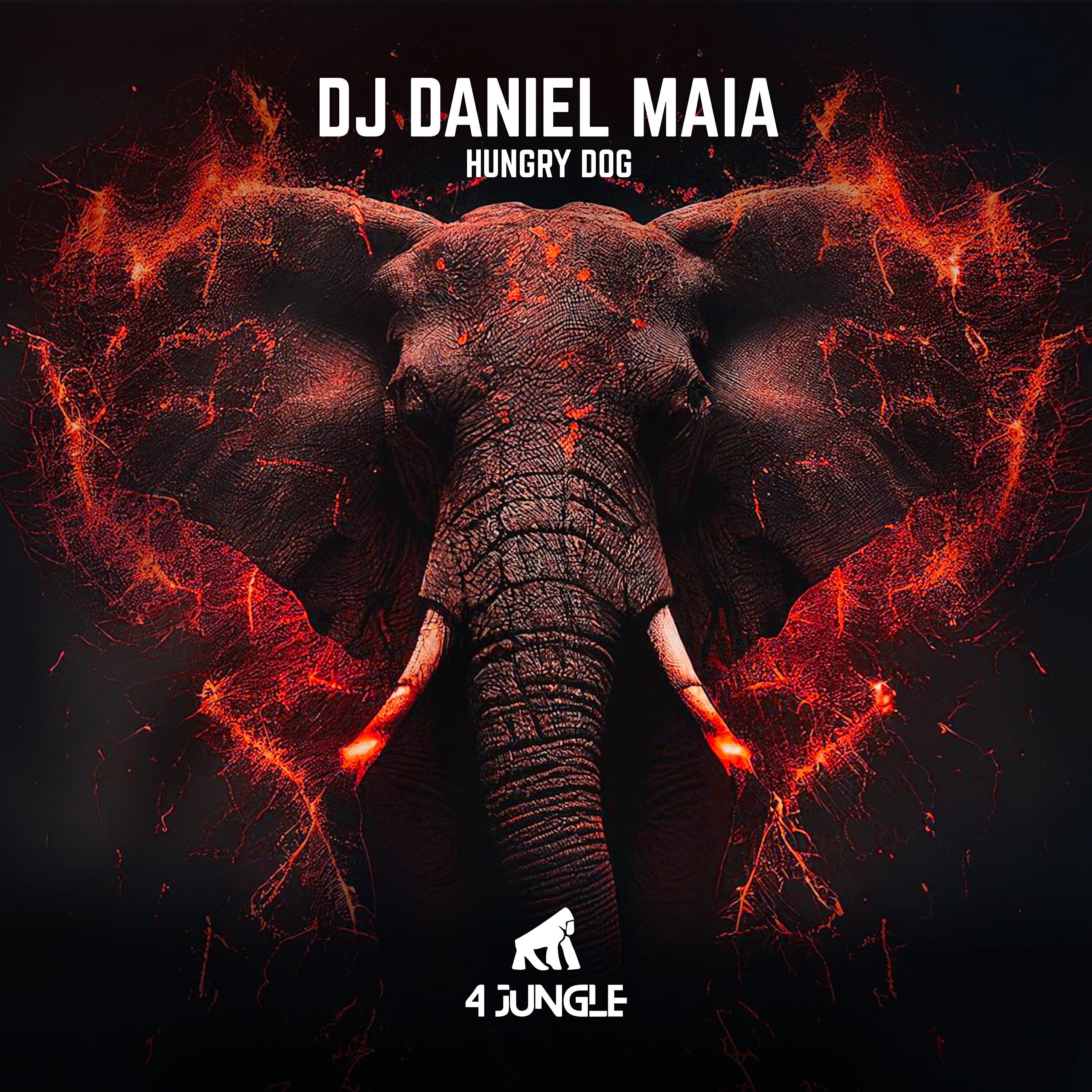 DJ Daniel Maia