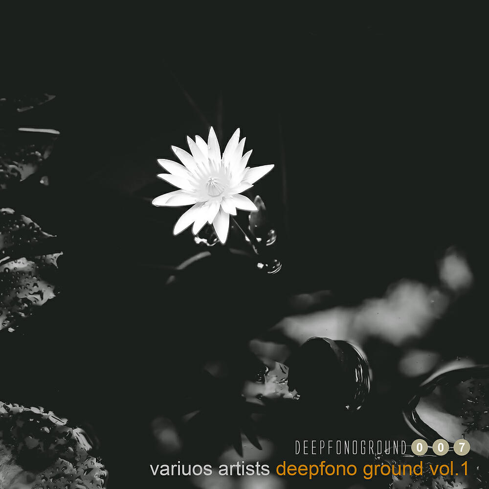 Постер альбома Deepfono Ground, Vol. 1