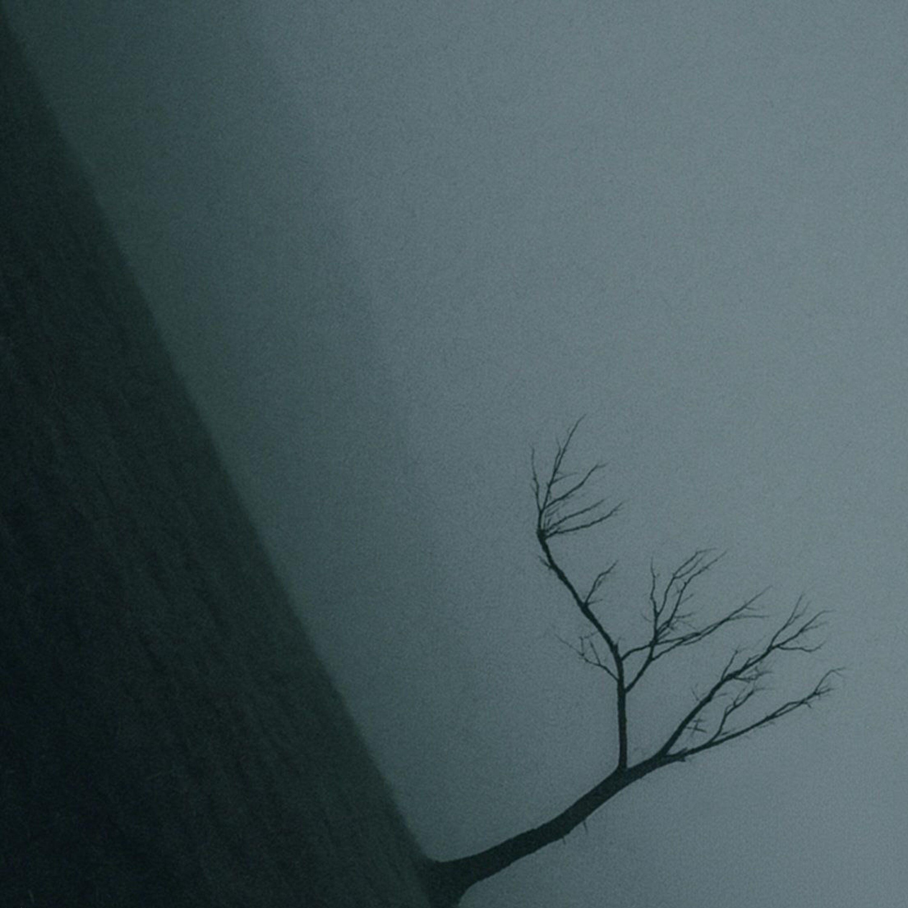 Релиз The Abyss