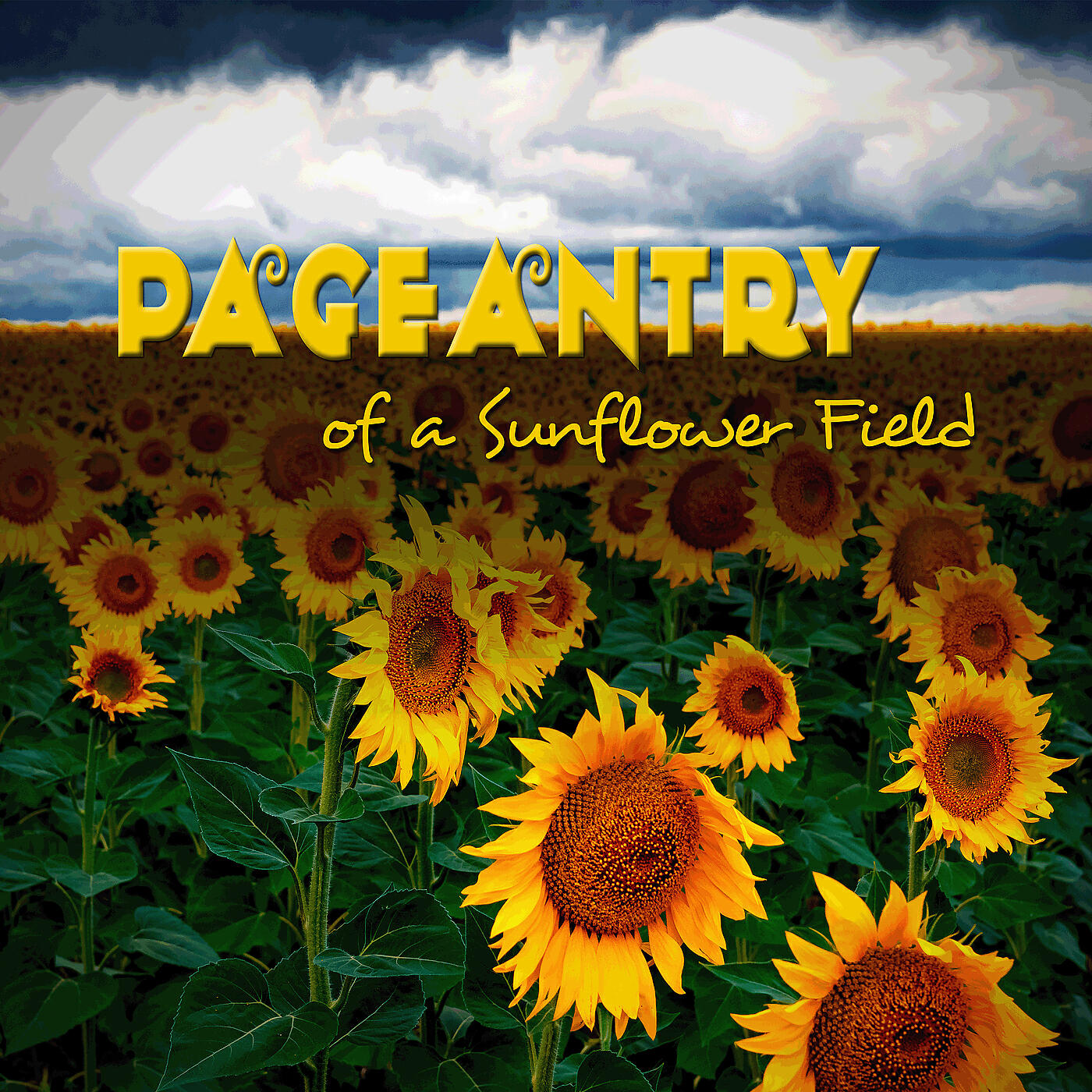 Релиз Pageantry of a Sunflower Field