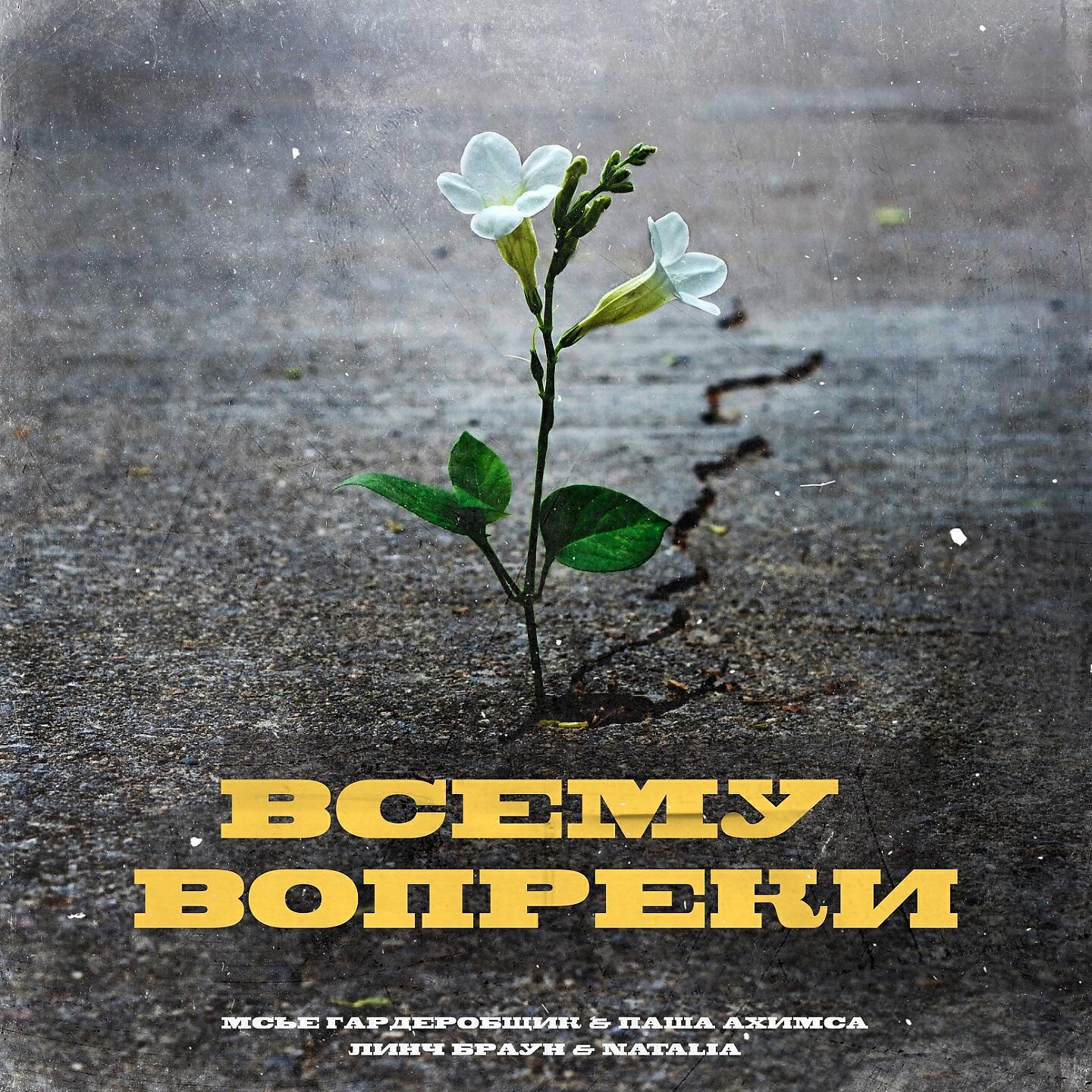 Постер альбома Всему вопреки