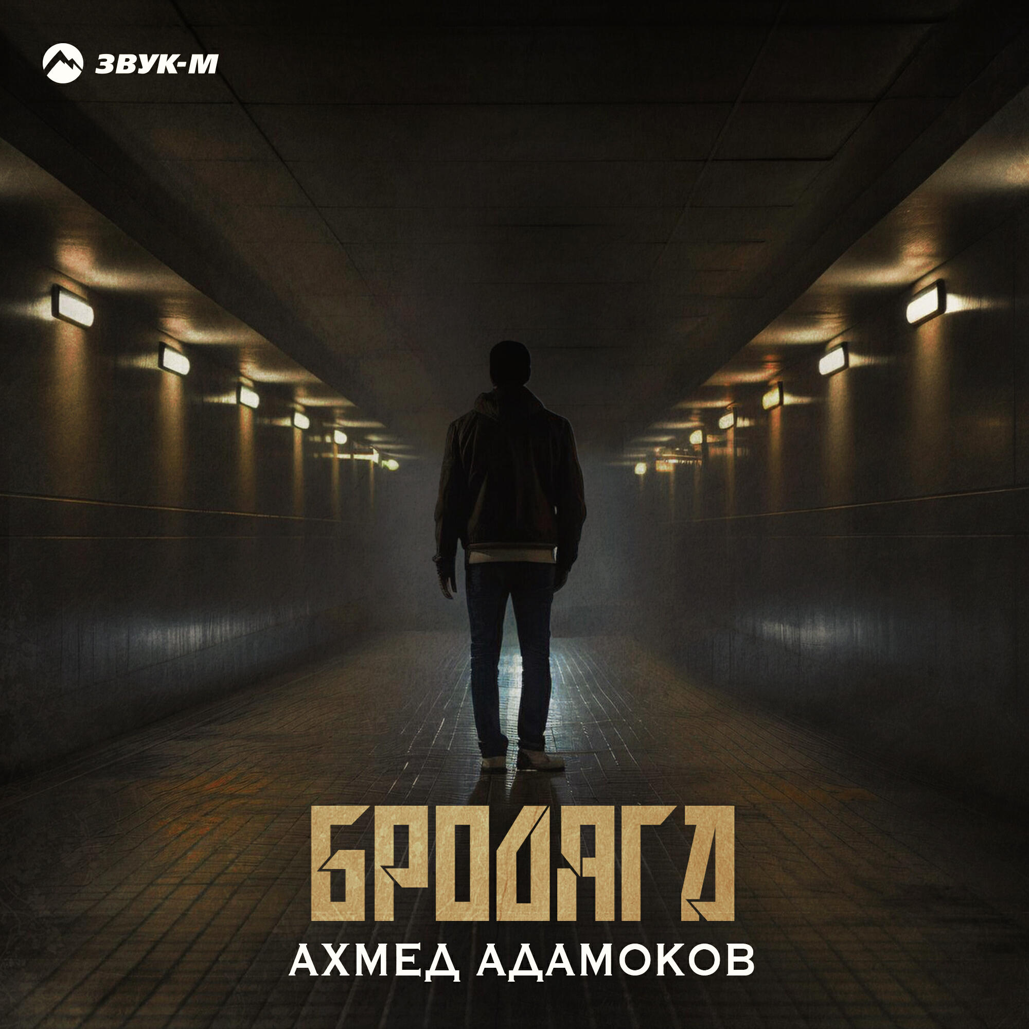 Релиз Бродяга