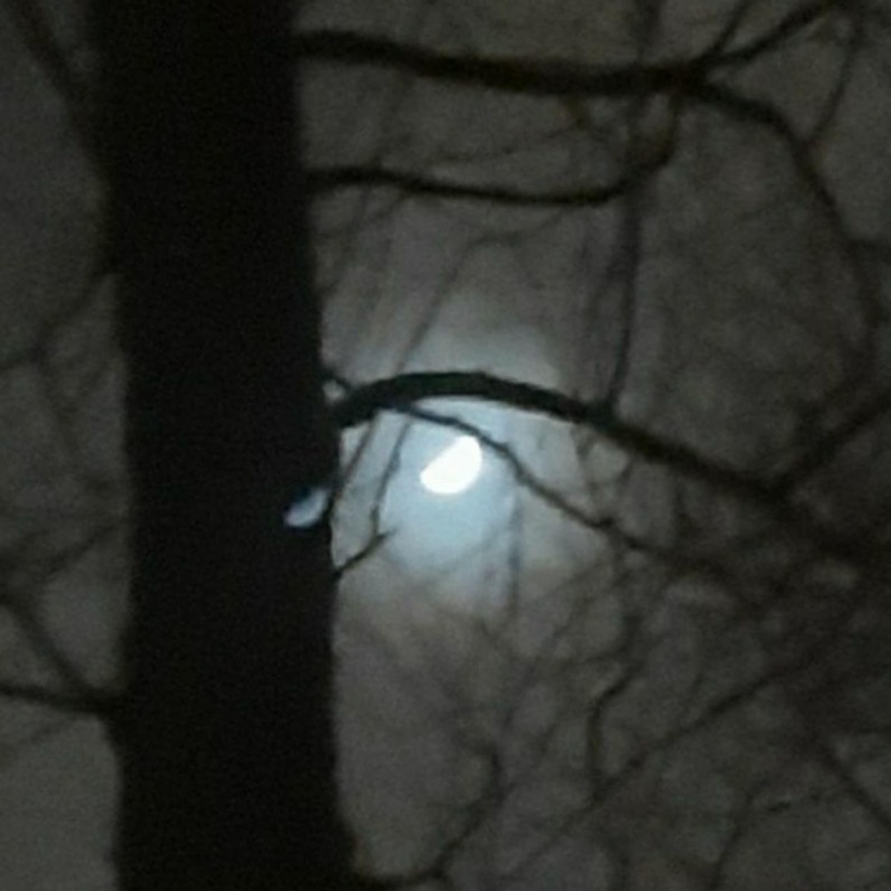 Релиз moon is staring