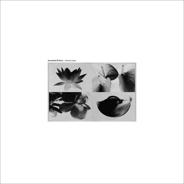 Релиз Anonymity Of Grey