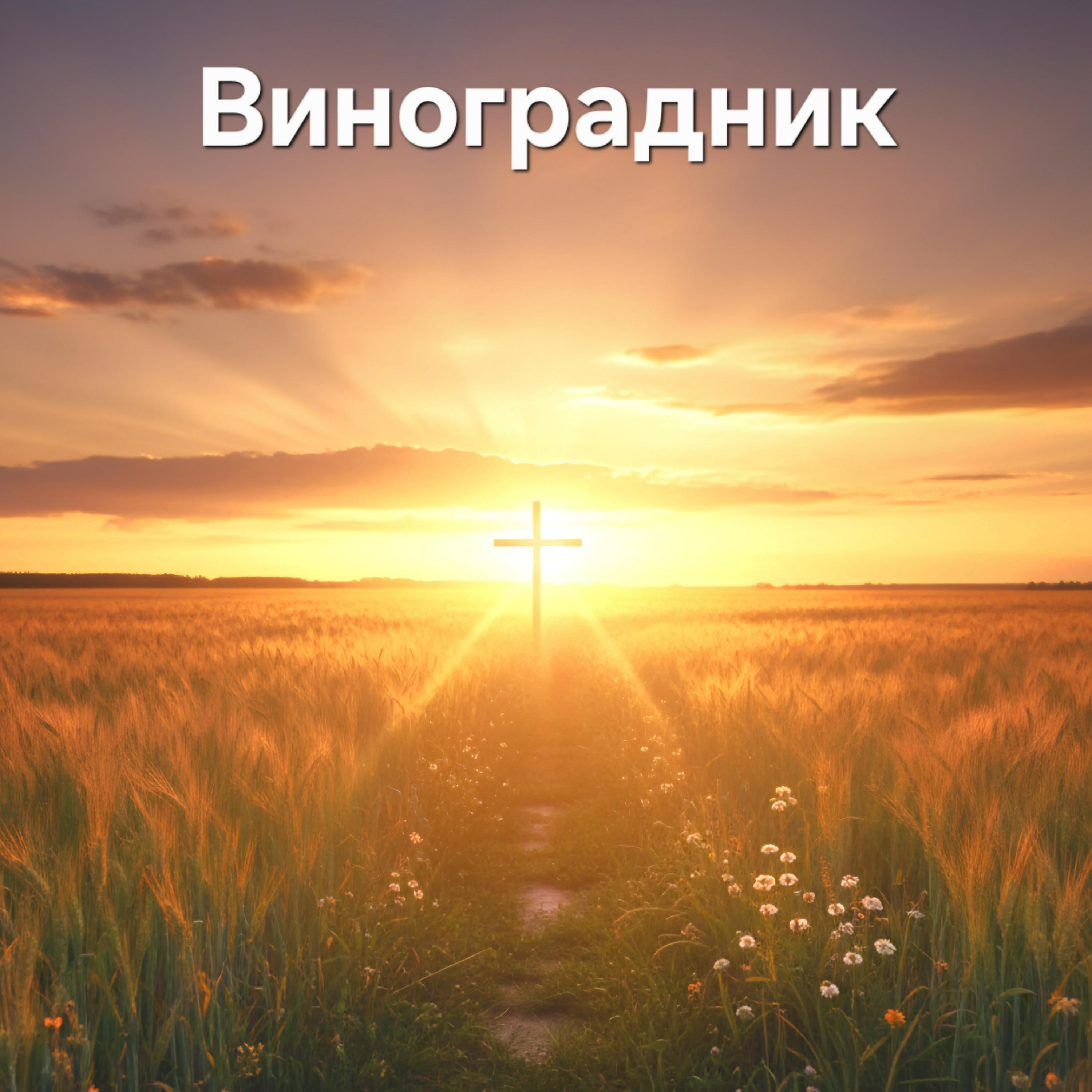 Релиз Виноградник