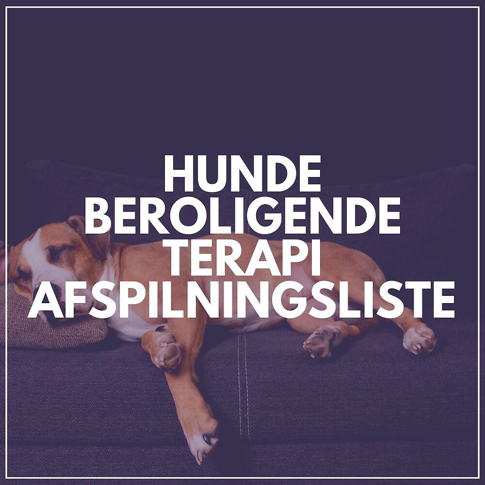 Релиз Hunde Beroligende Terapi Afspilningsliste