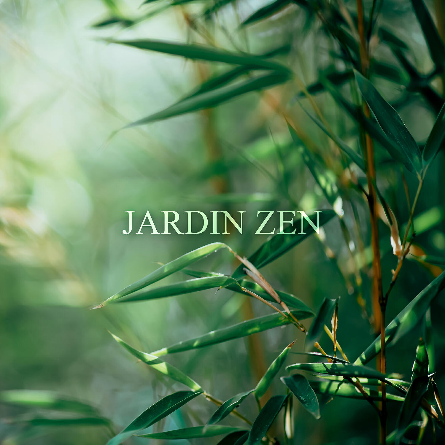 Релиз Jardin zen: Musique anti-stress