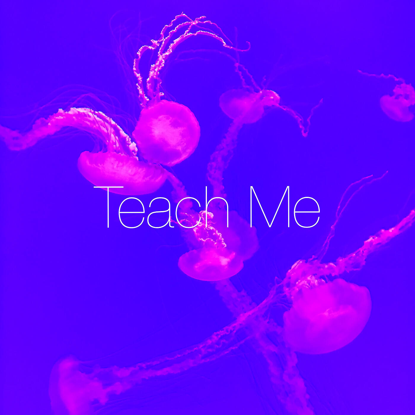 Релиз Teach Me