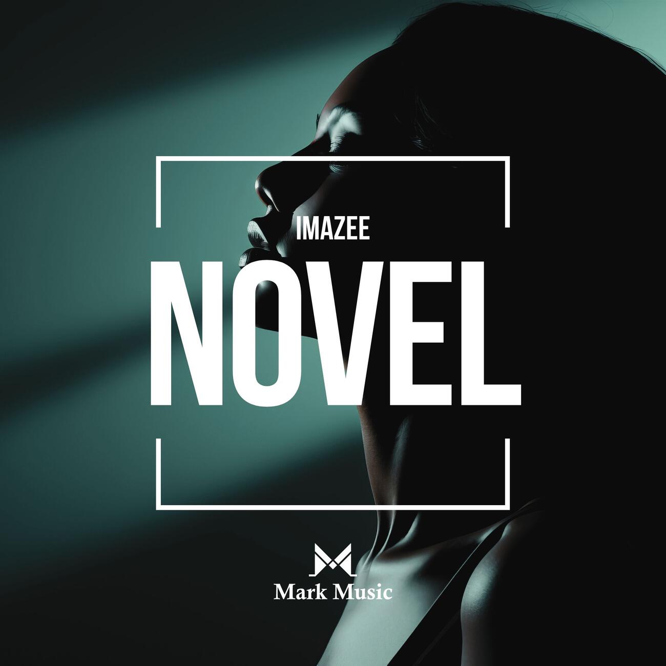 Релиз Novel