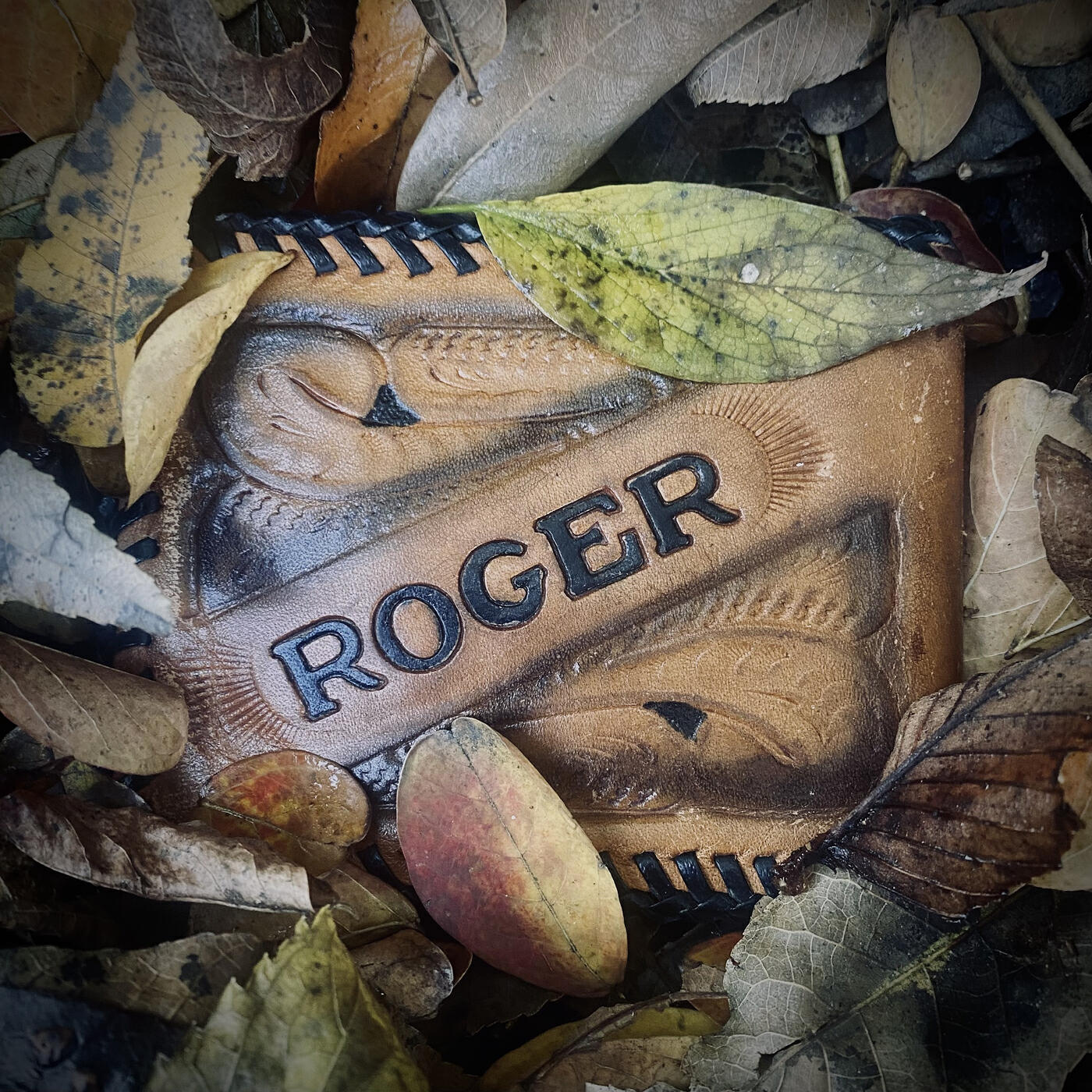 Релиз Roger