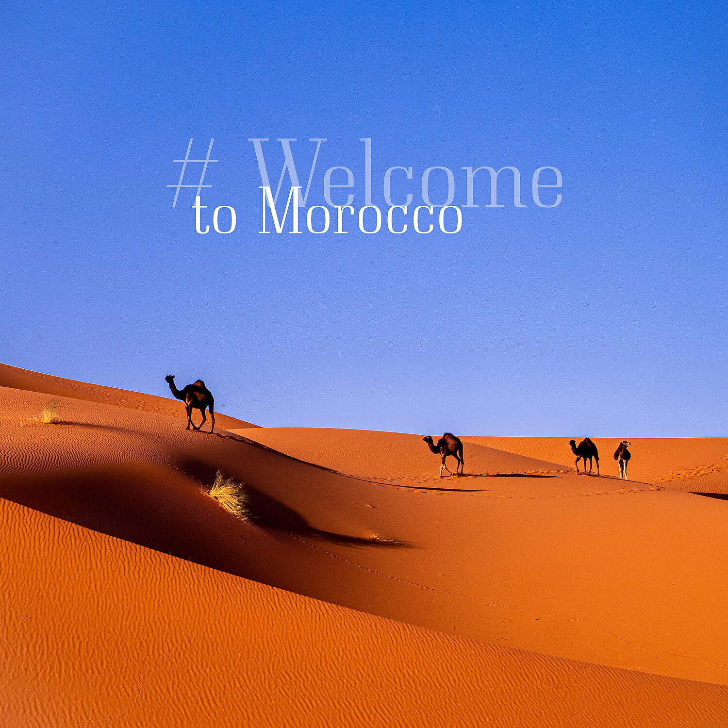 Релиз # Welcome to Morocco