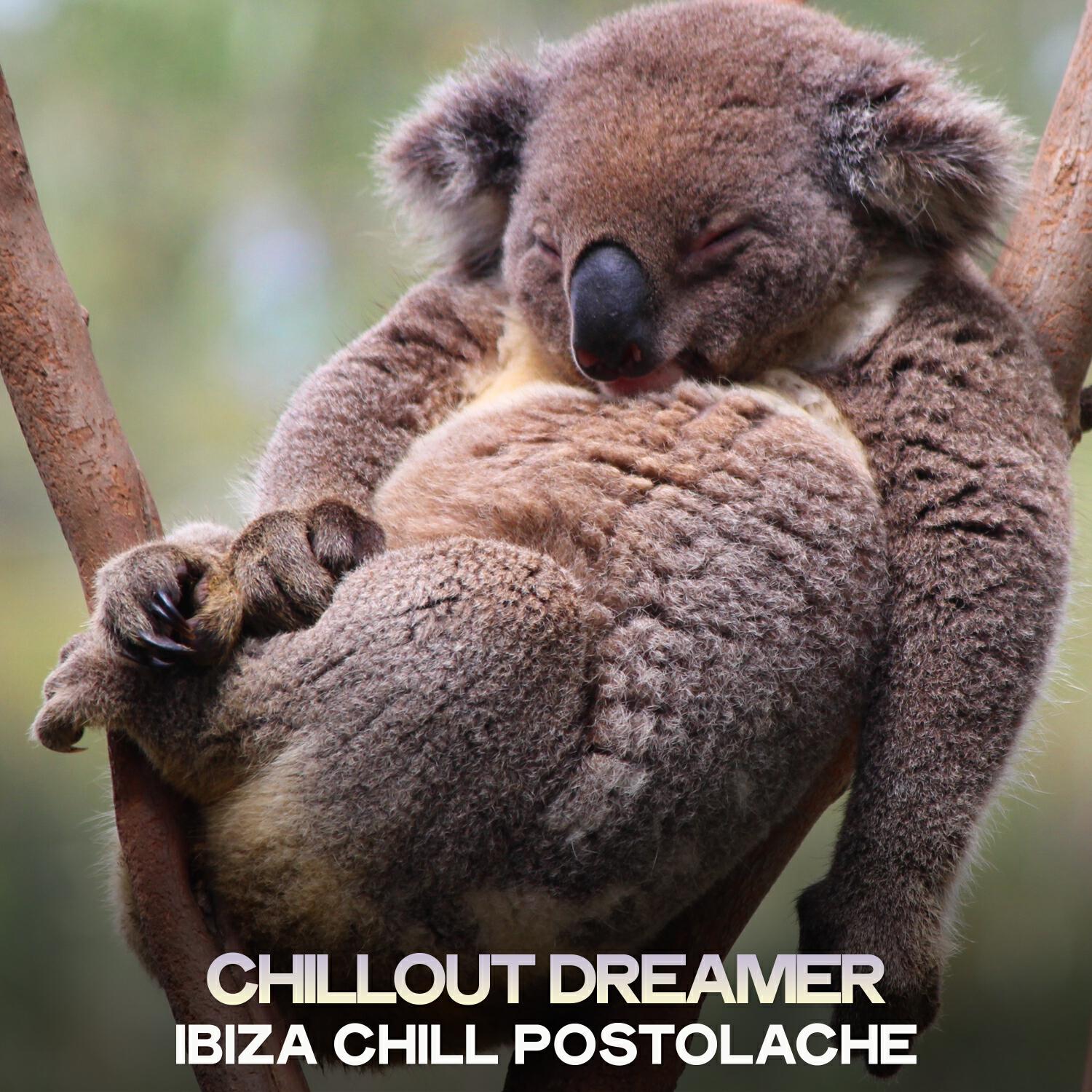 Релиз Chillout Dreamer