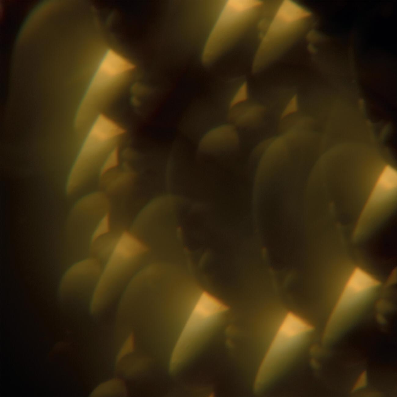 Релиз Music from 'Likely Stories'