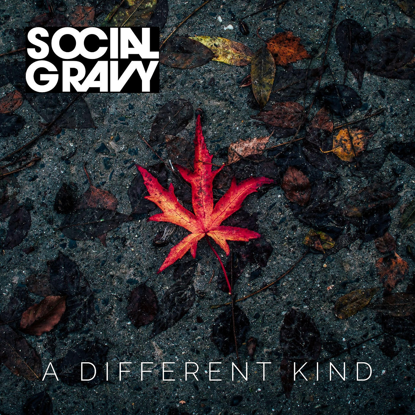 Релиз A Different Kind