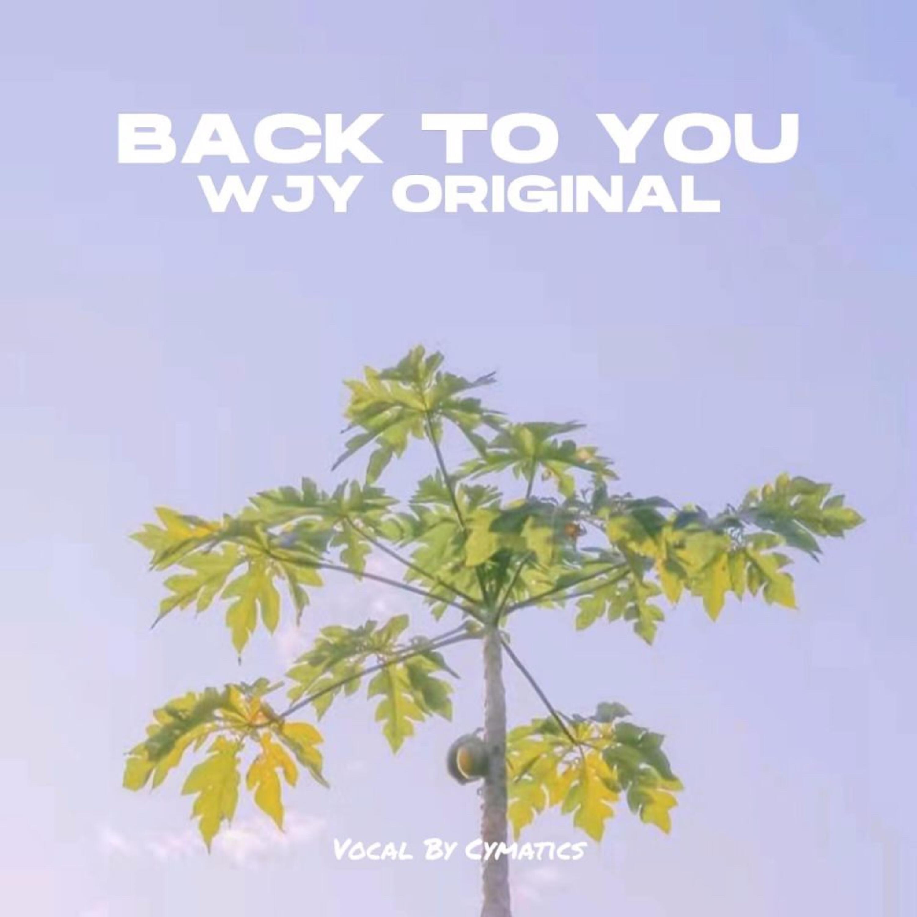 Релиз Back to You
