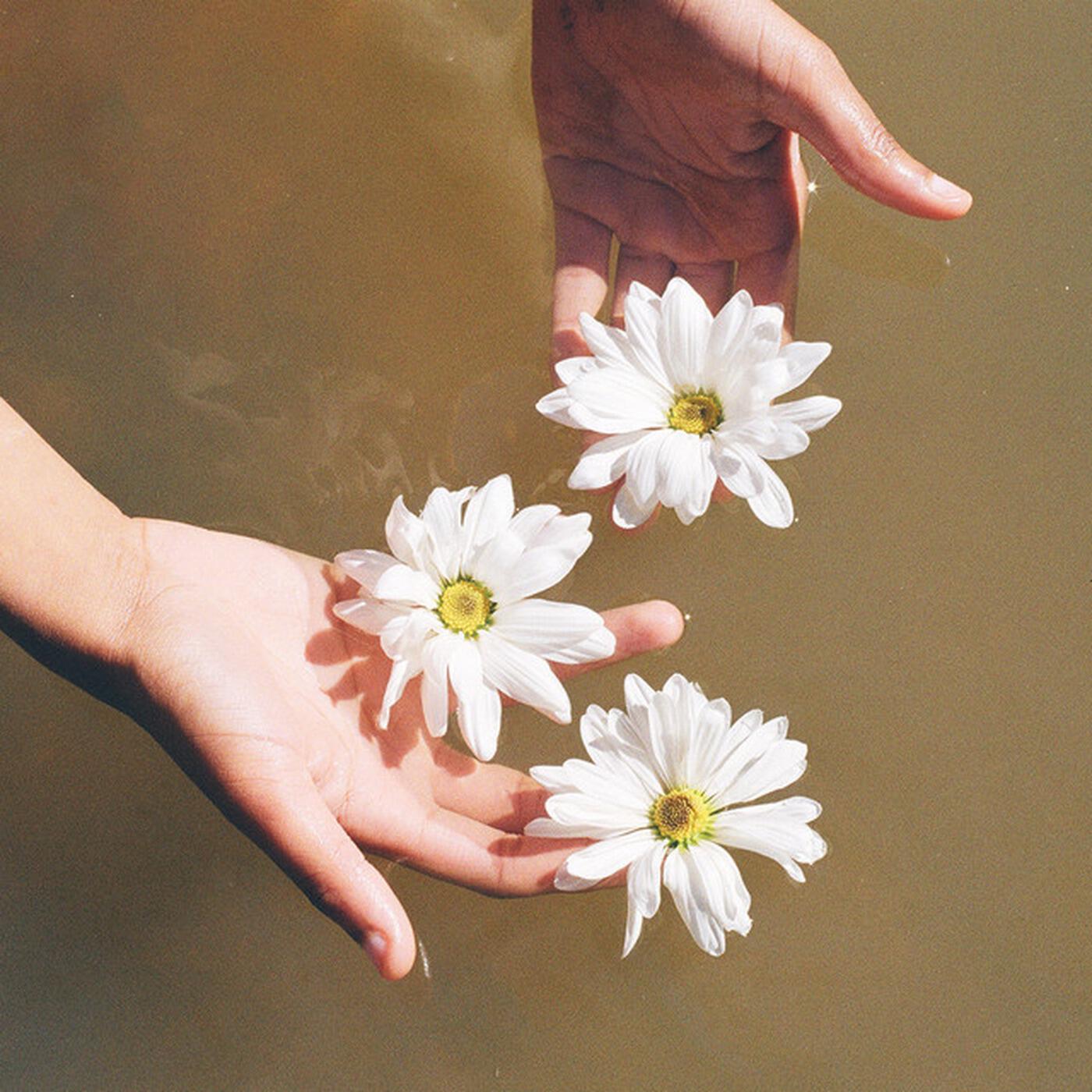 Релиз as the waves