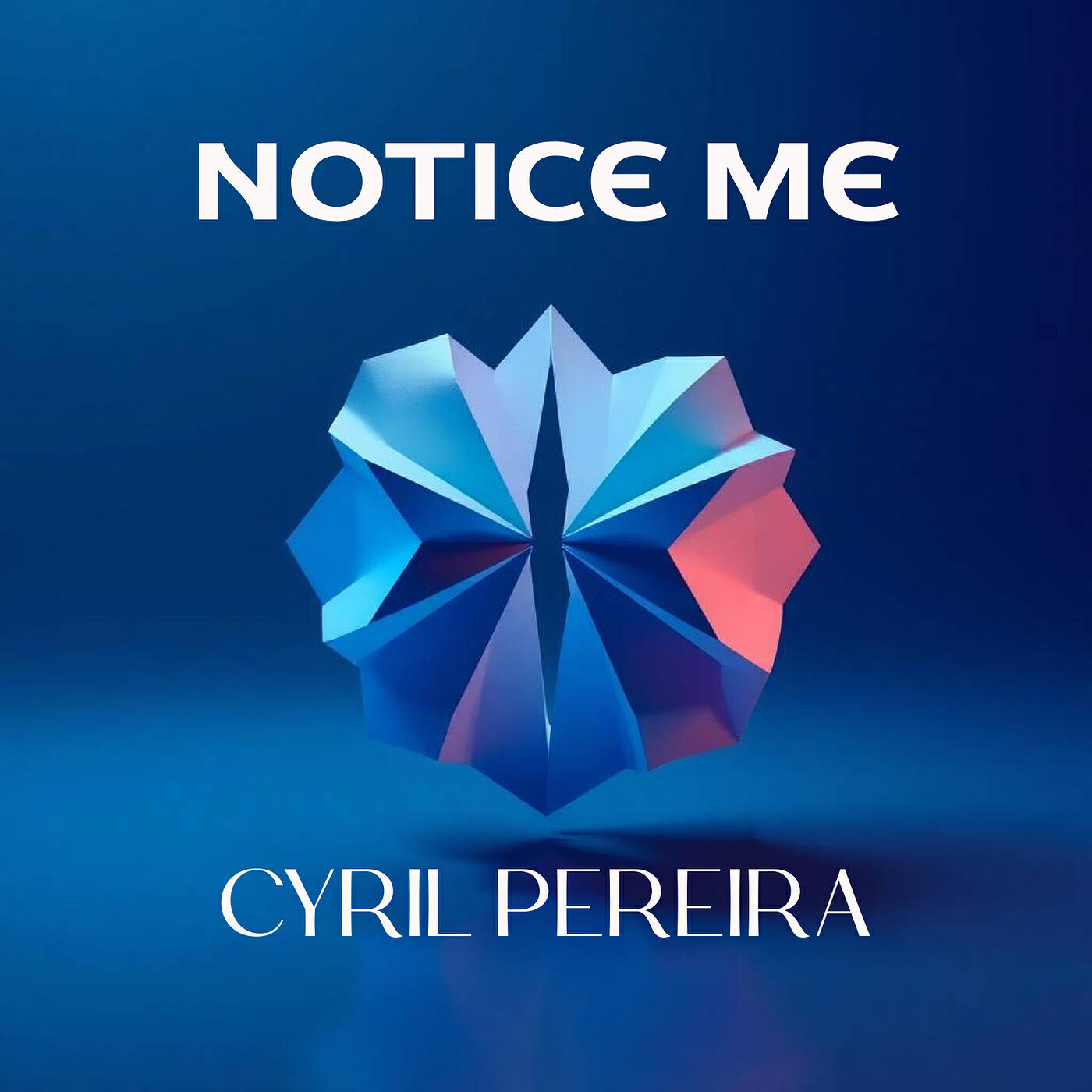 Релиз Notice Me