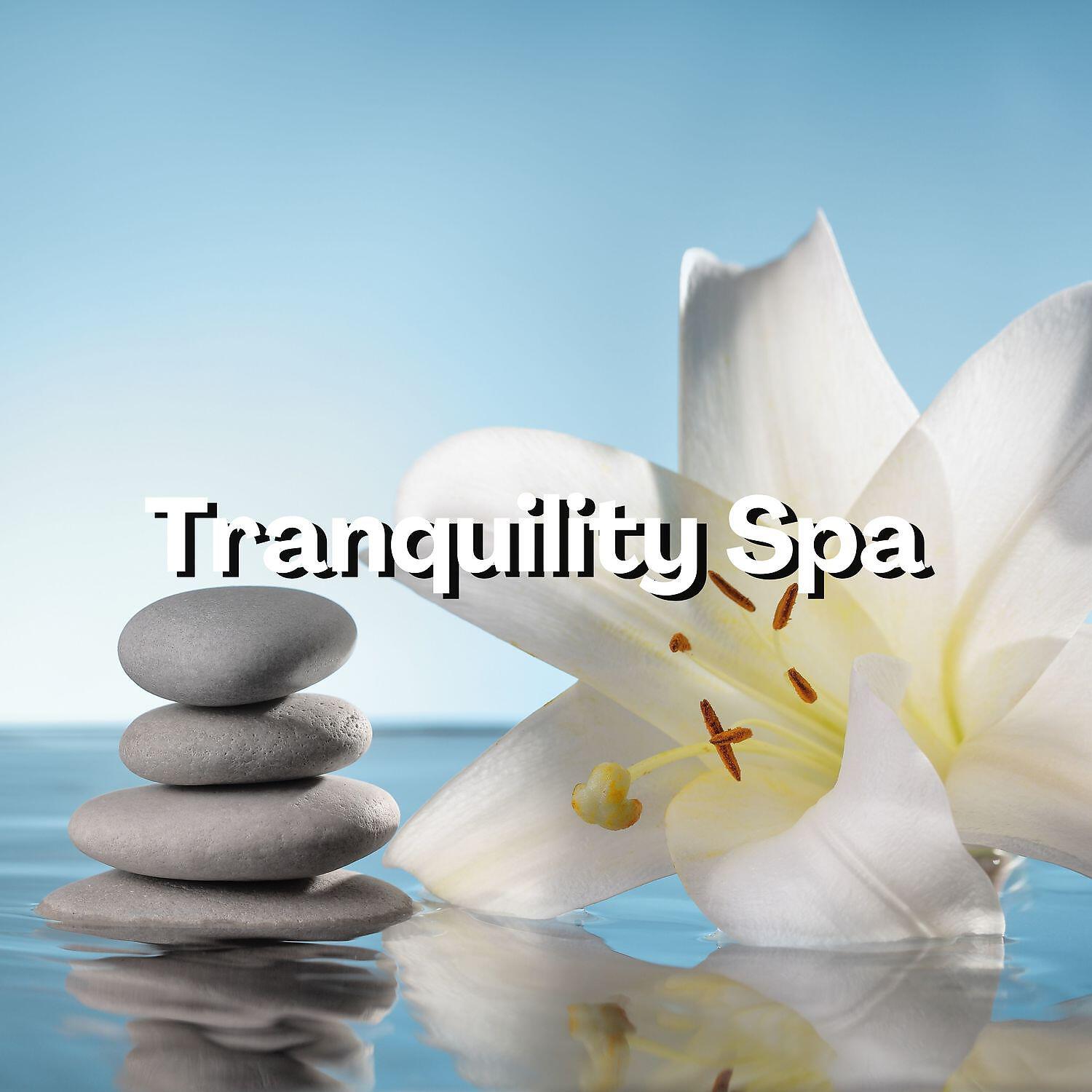 Релиз Tranquility Spa Massage – Harmony of Senses