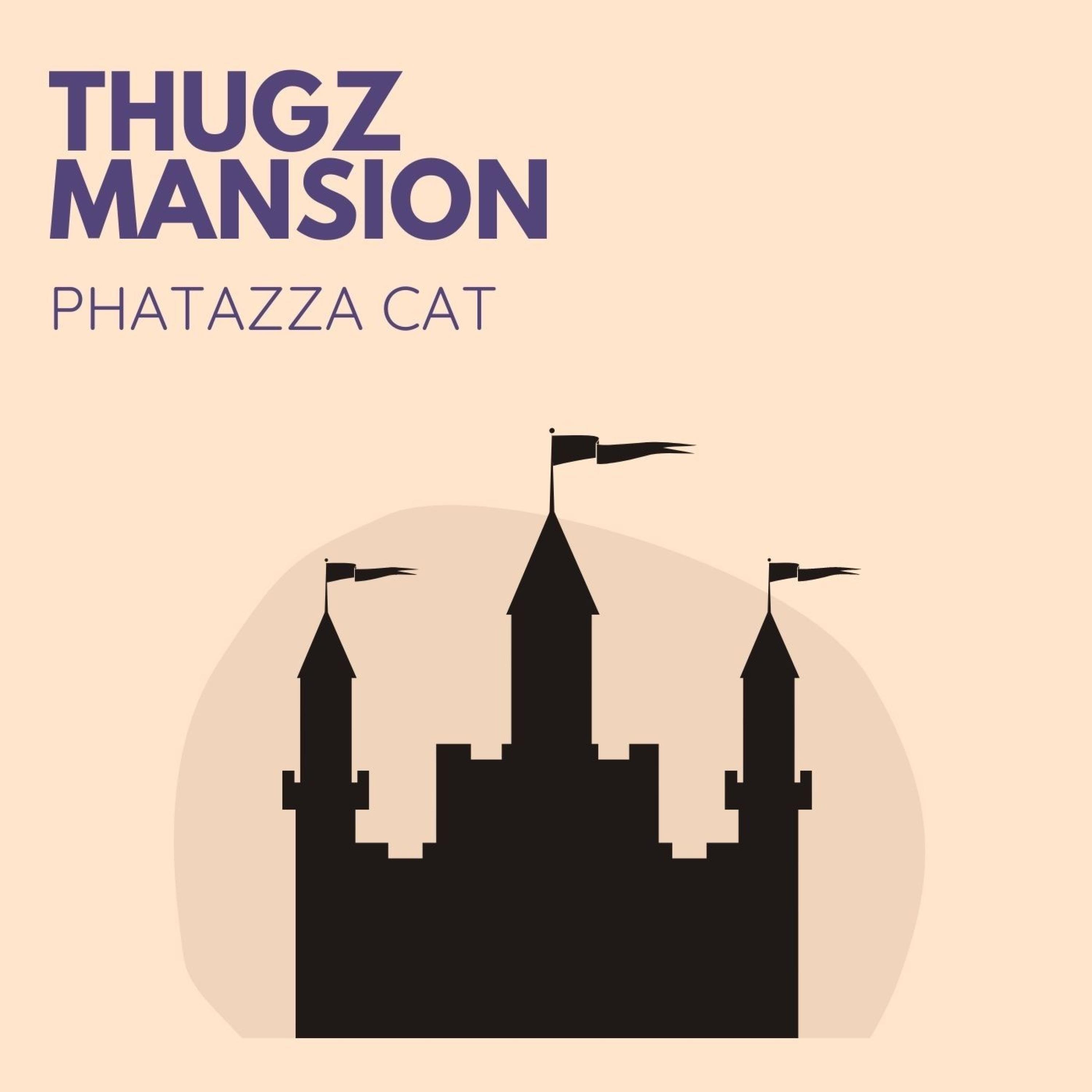 Релиз Thugz Mansion