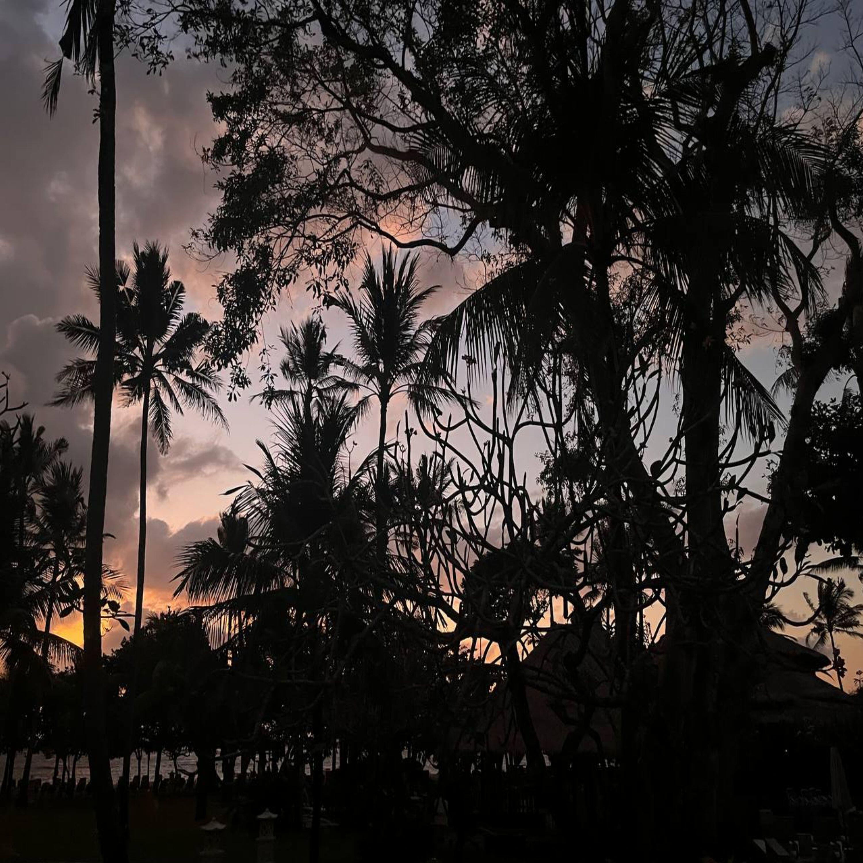 Релиз TROPICAL TALES