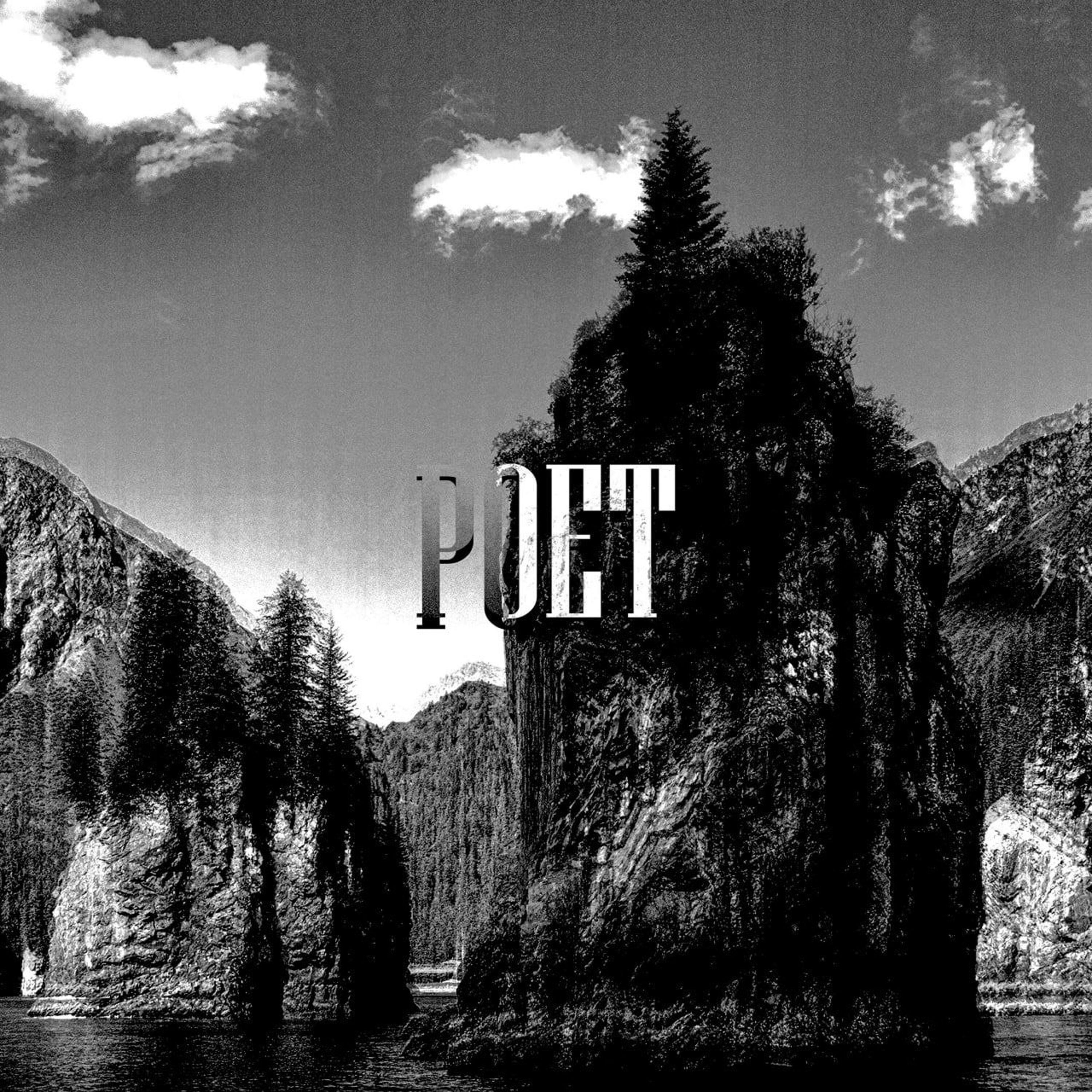 Релиз POET