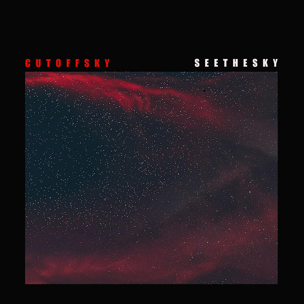 Релиз See The Sky