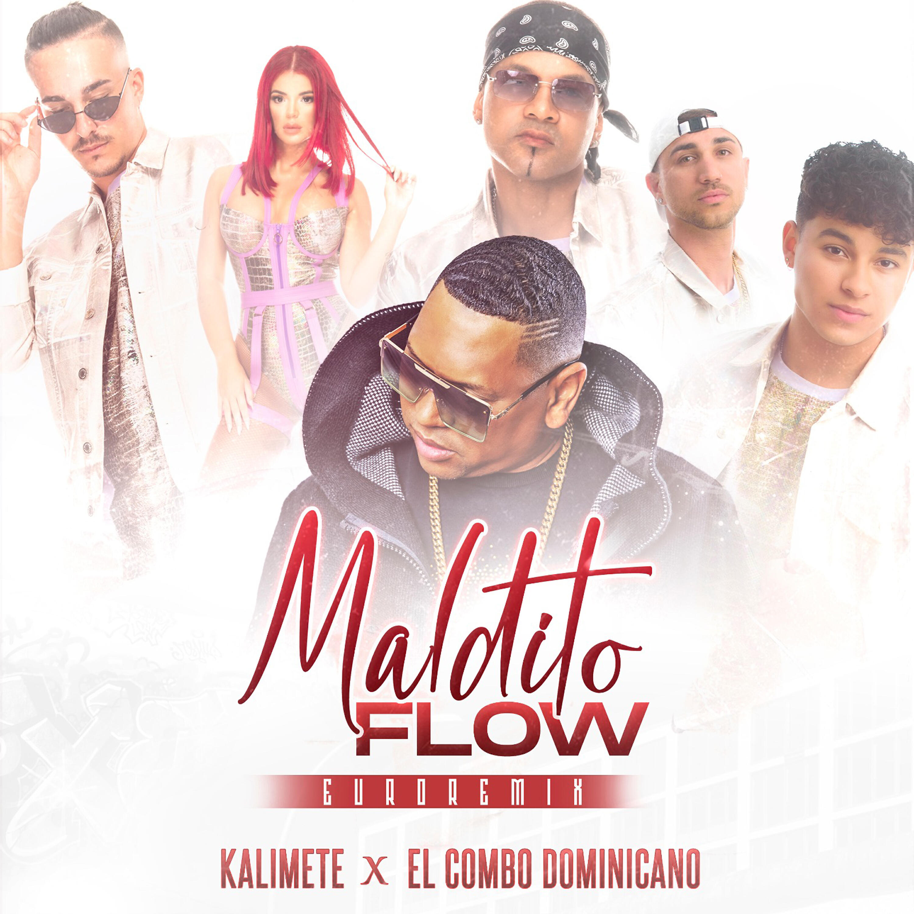 Релиз Maldito Flow (Euro Remix)