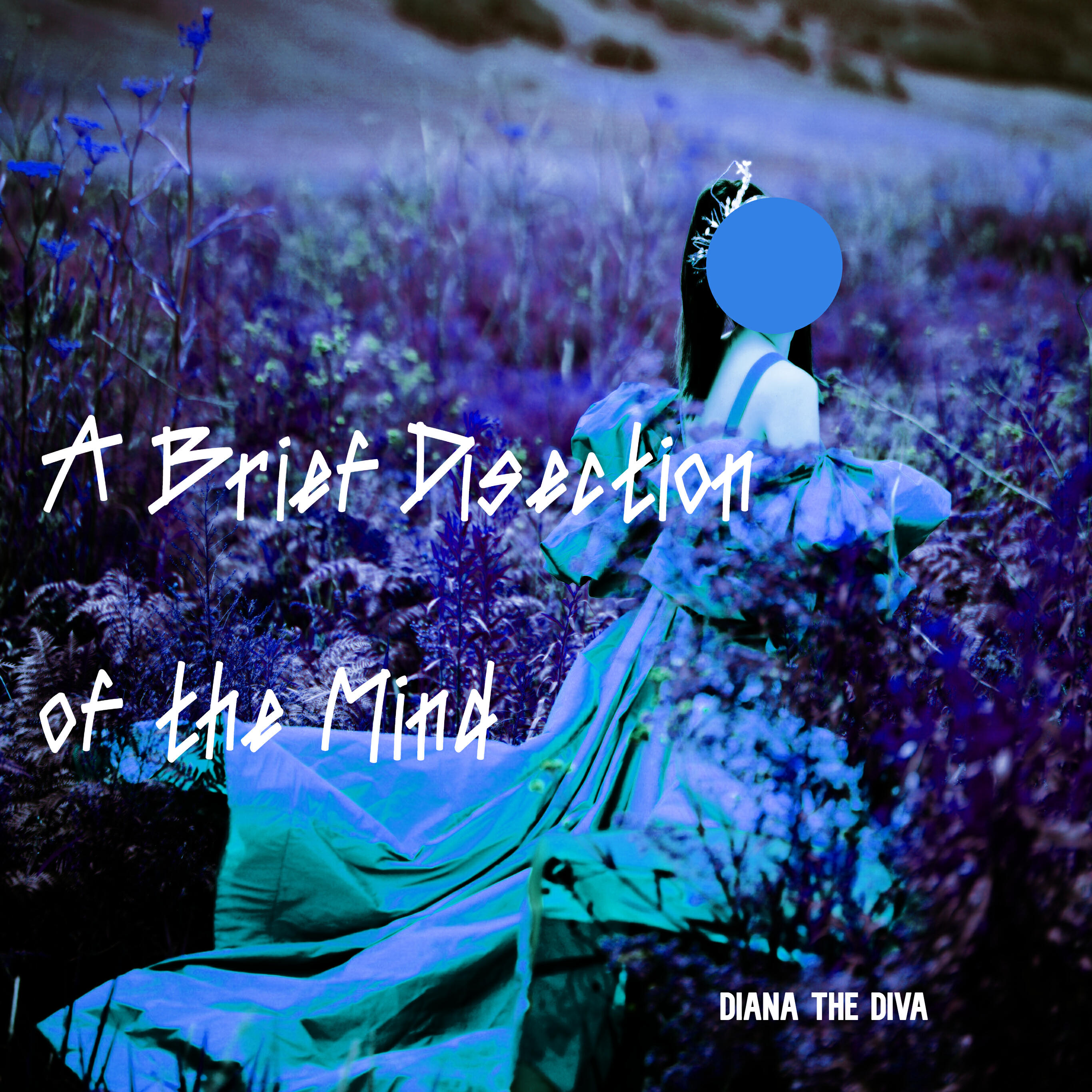 Релиз A Brief Dissection of the Mind