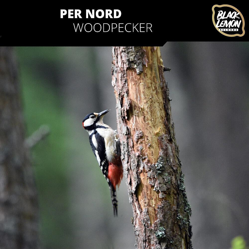 Релиз Woodpecker