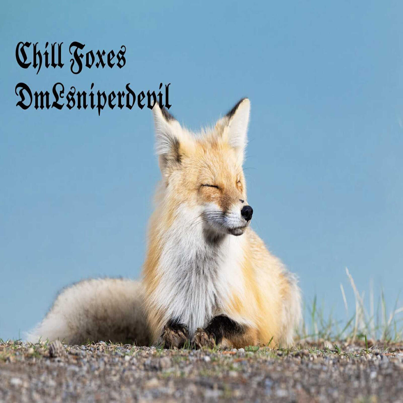 Релиз Chill Foxes