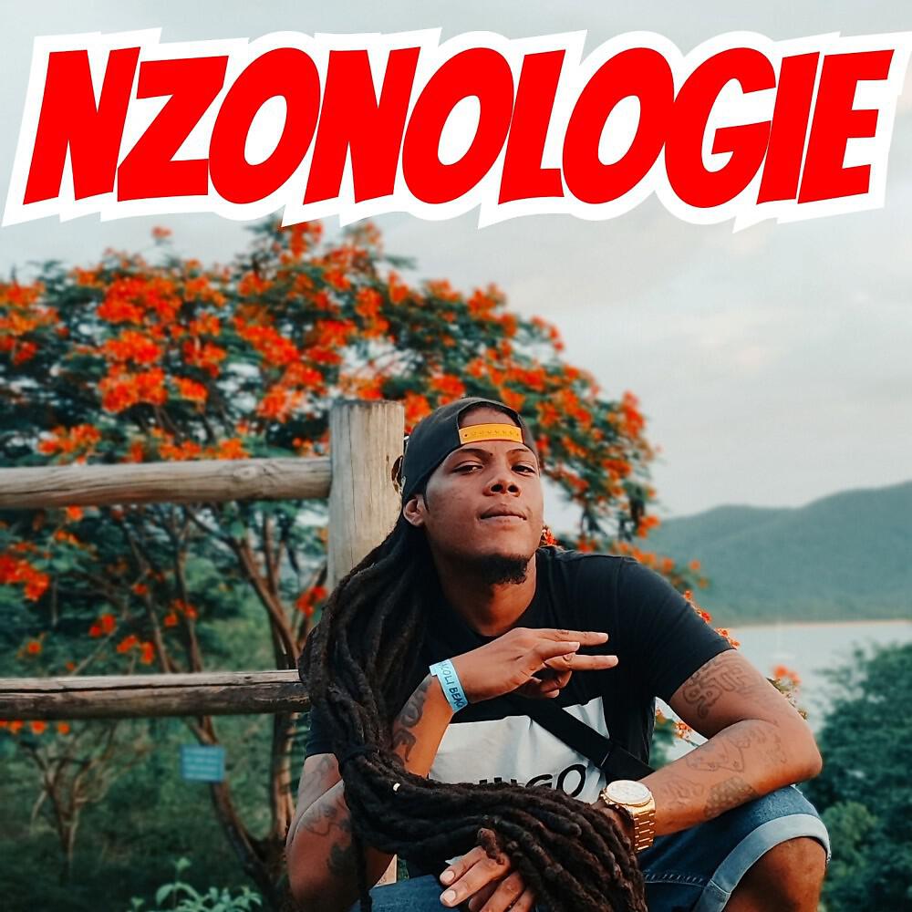 Nzonologie