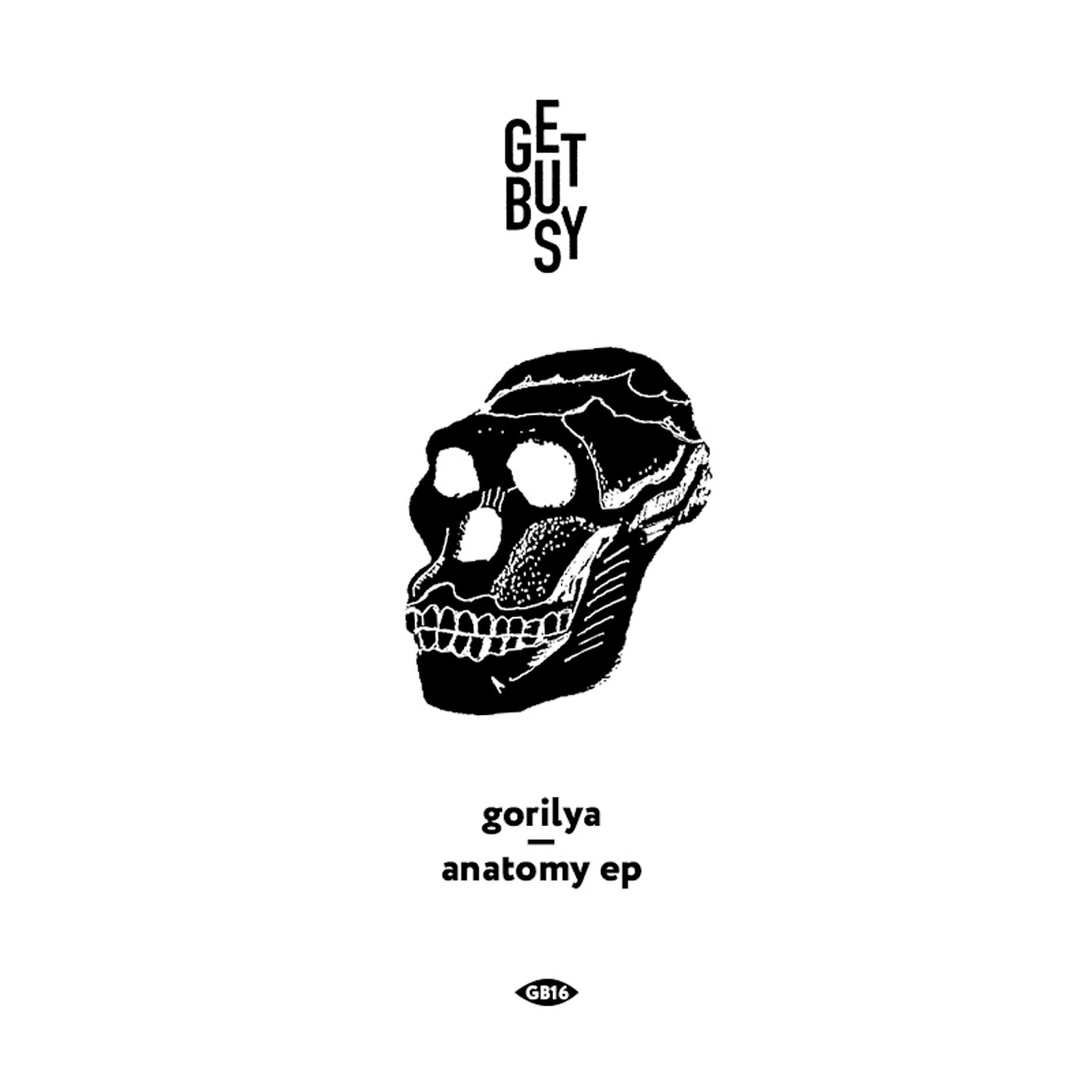 Релиз Anatomy