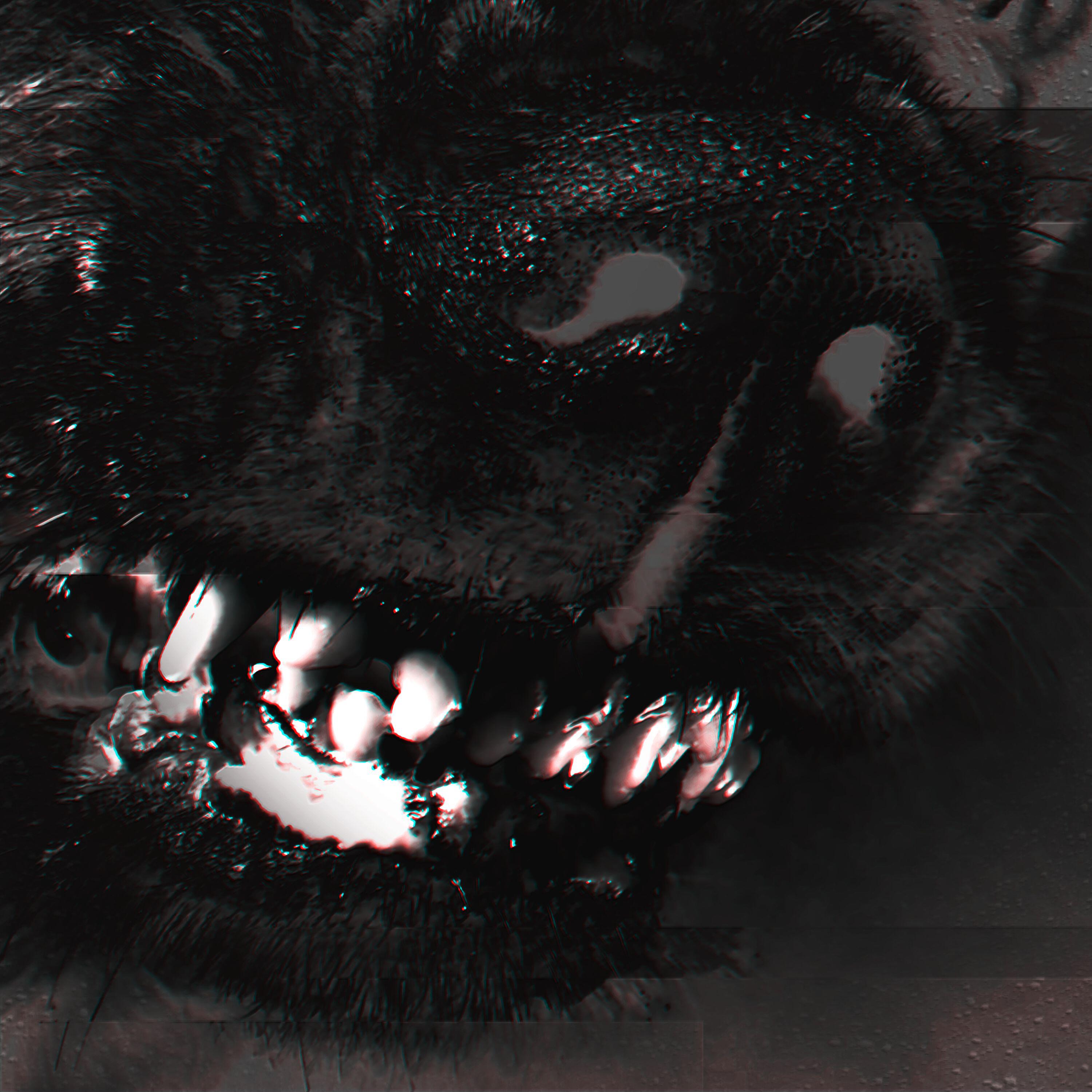 Релиз Грызня