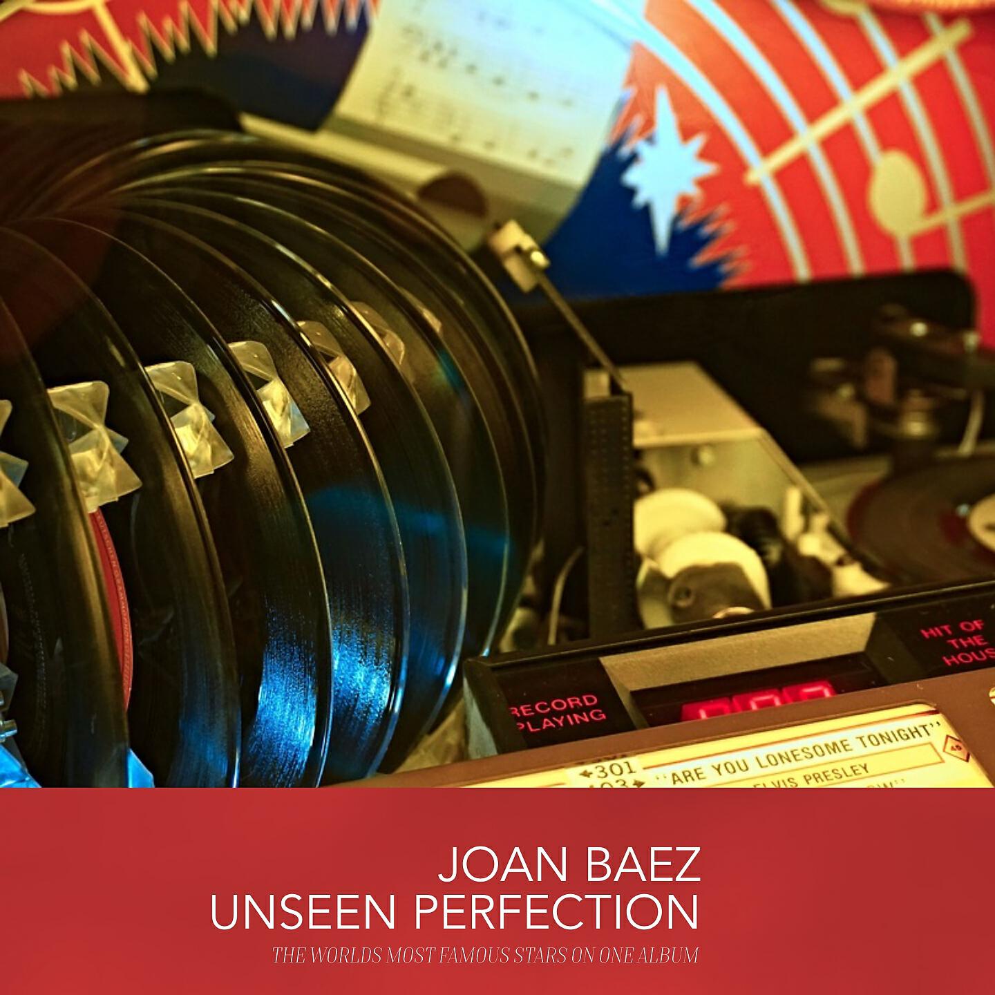 Постер альбома Unseen Perfection
