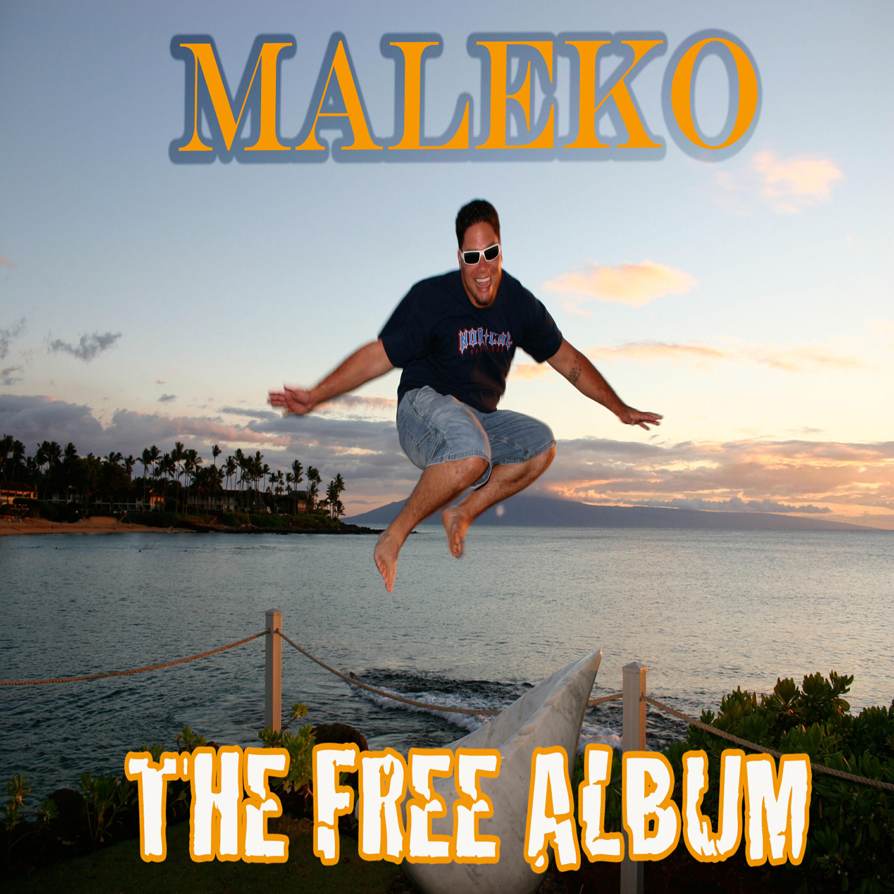 Релиз The Free Album