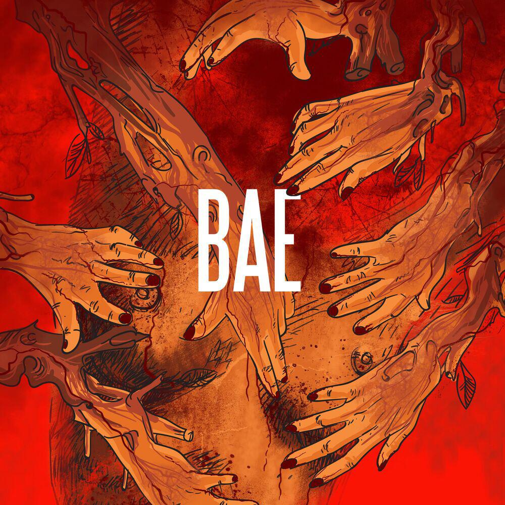 Релиз BAE