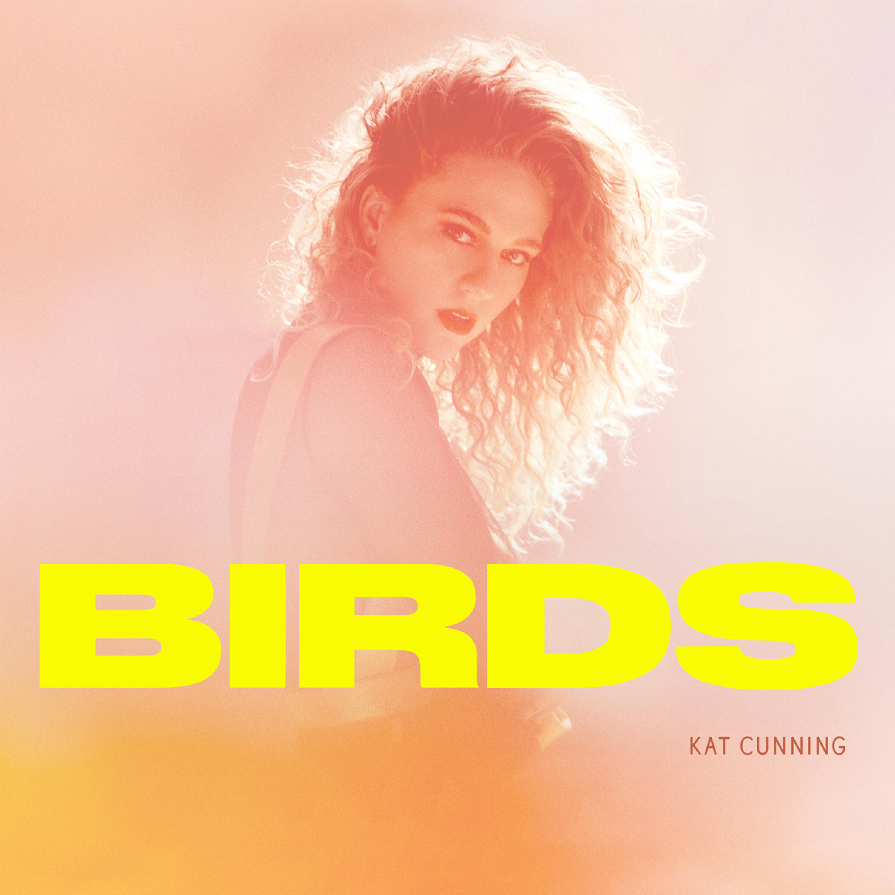 Релиз Birds