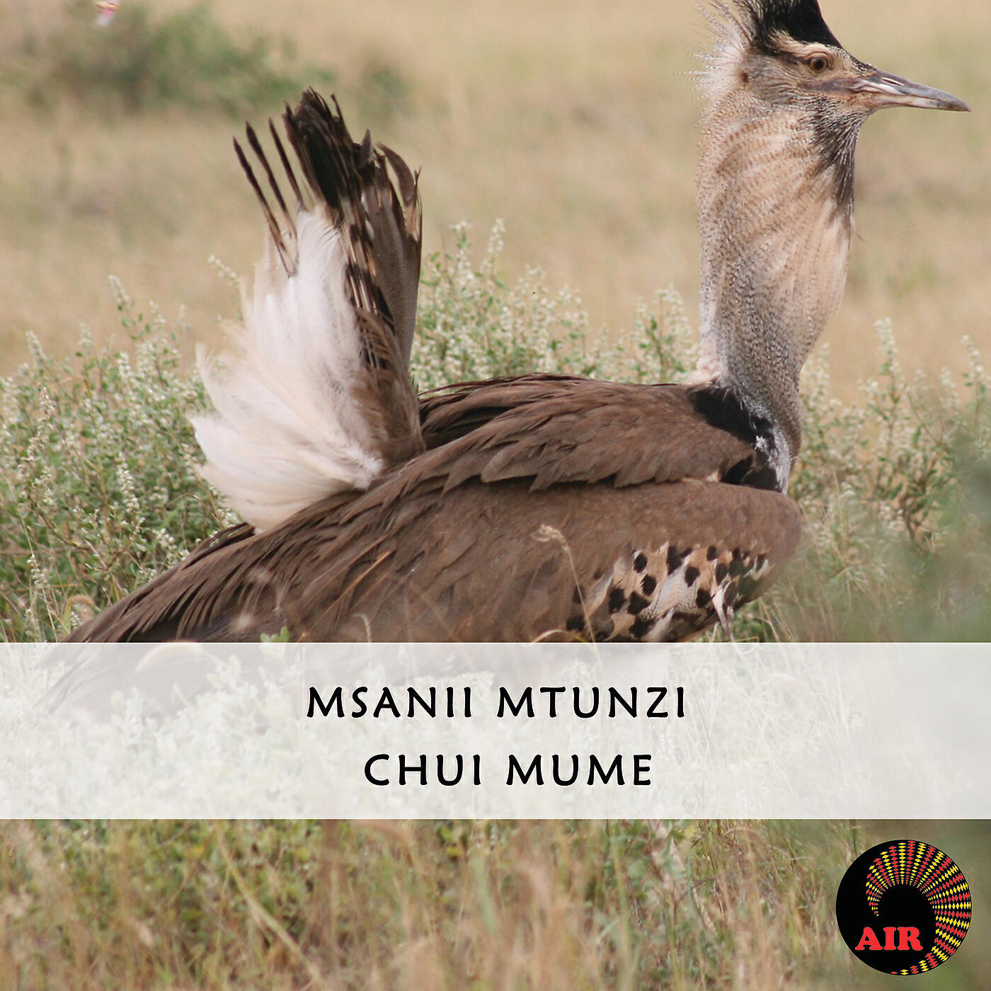 Релиз Chui Mume