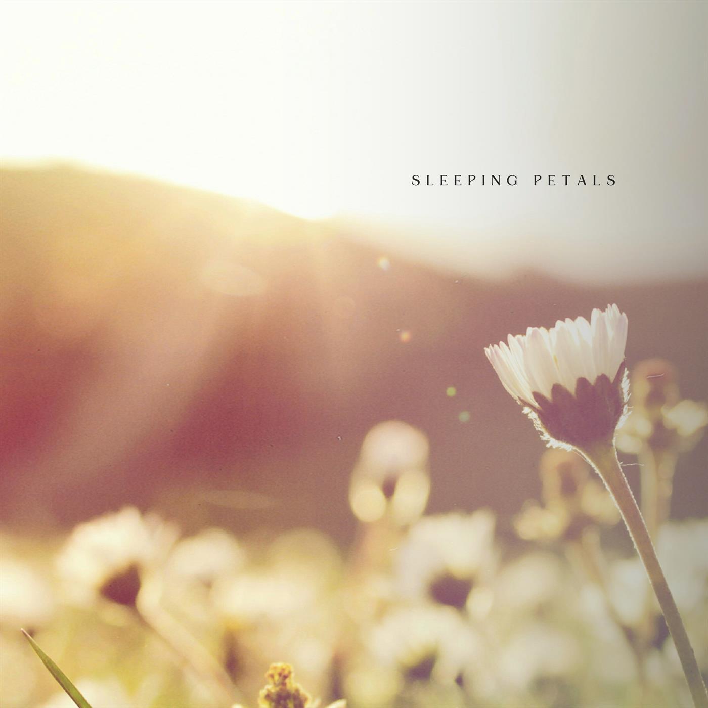 Релиз Sleeping Petals